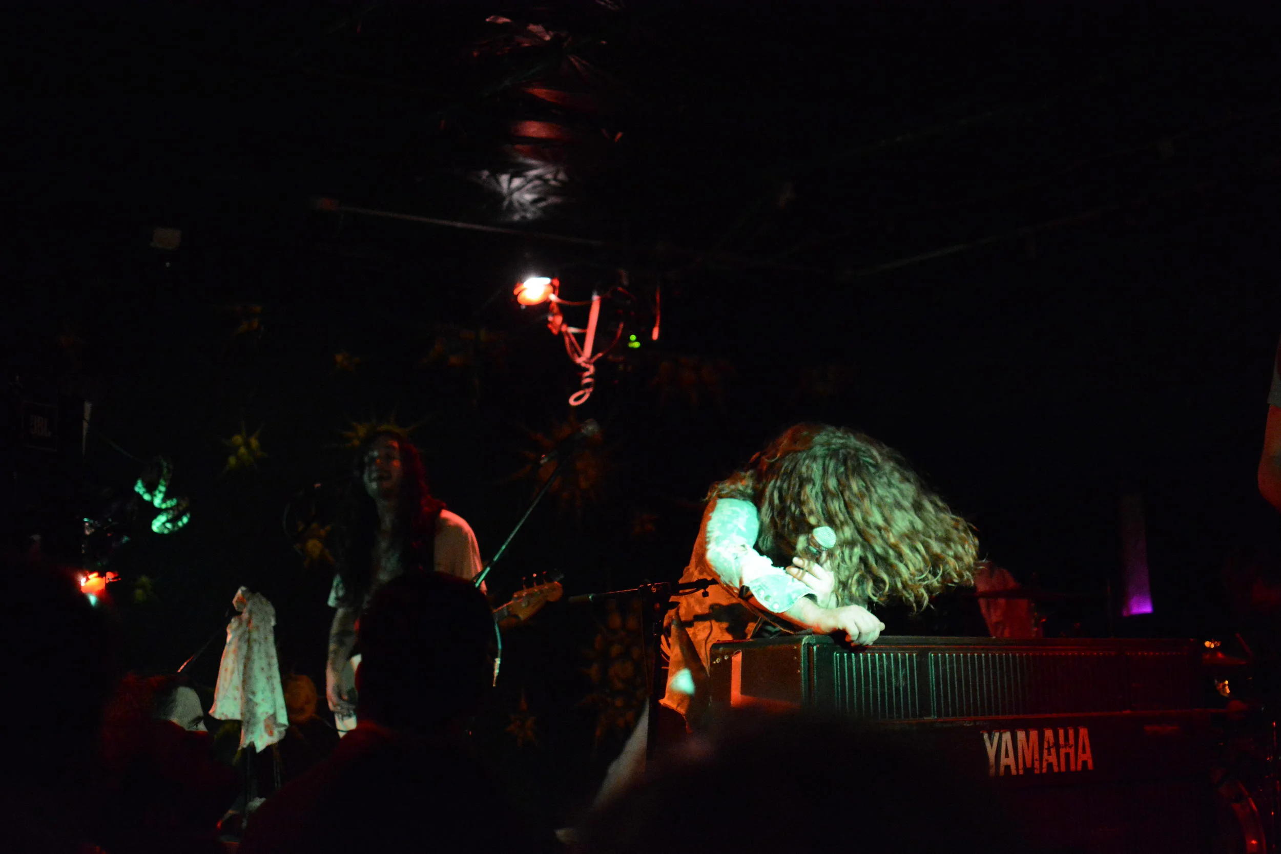 DSC_0226.JPG