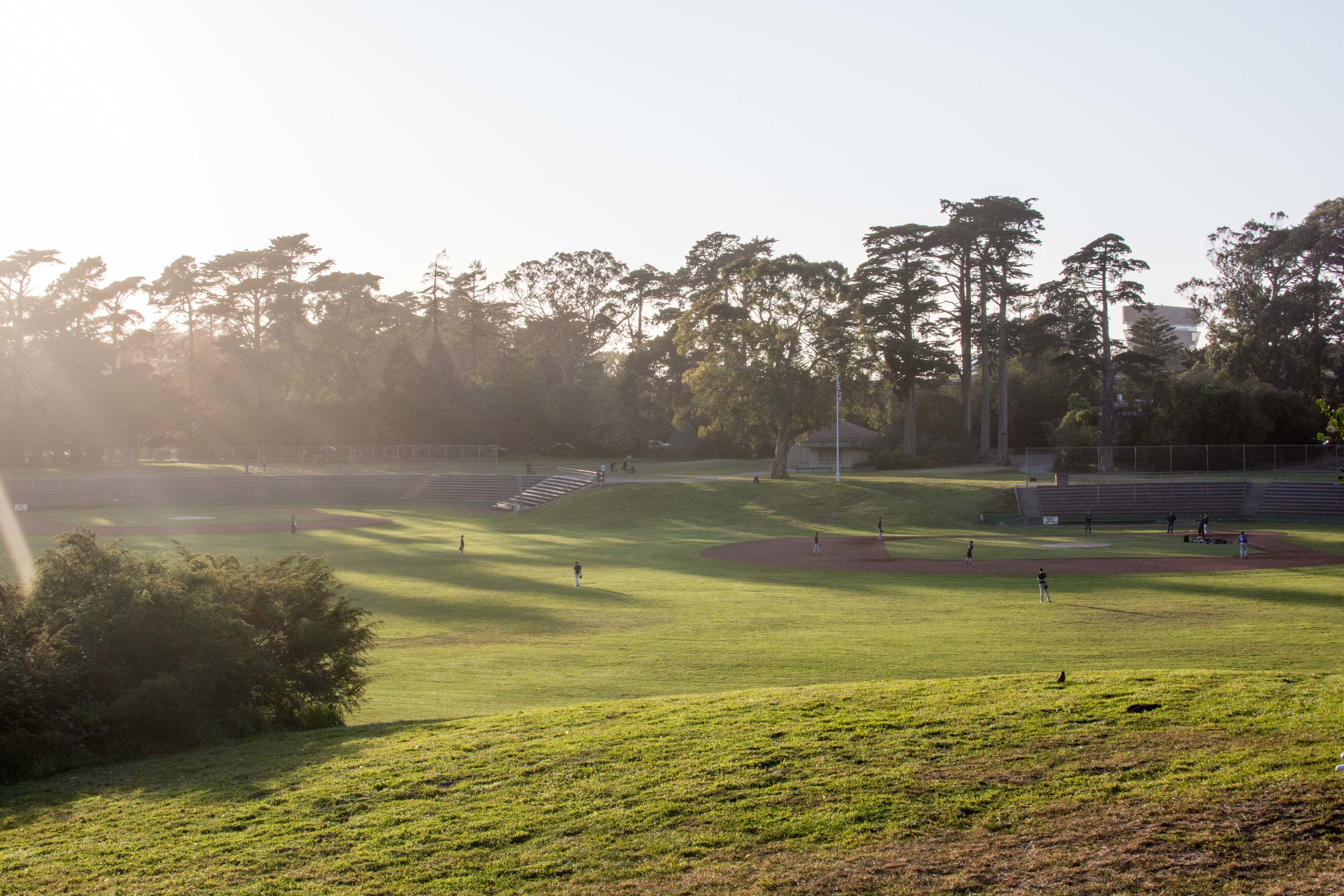 San Francisco 2015-4070.jpg