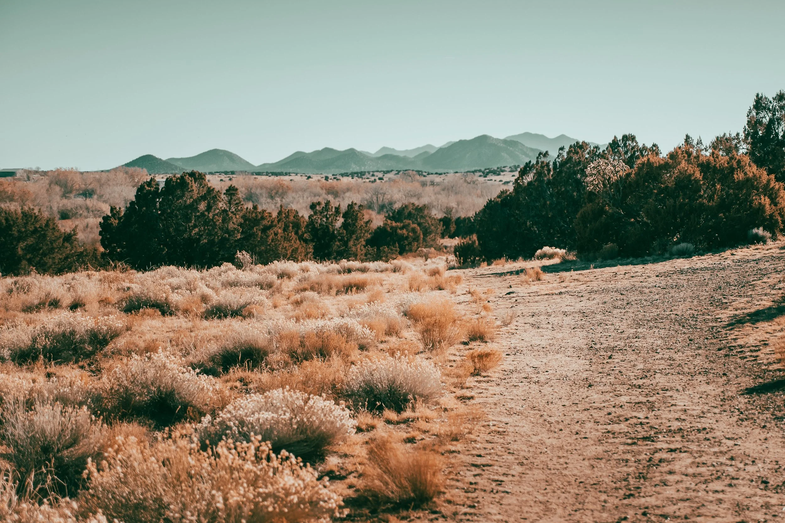 Santa Fe 2020_12-2120056.jpg