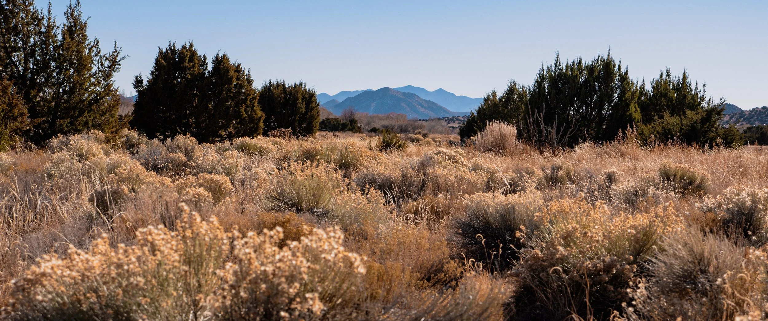 Santa Fe 2020_12-2120034.jpg
