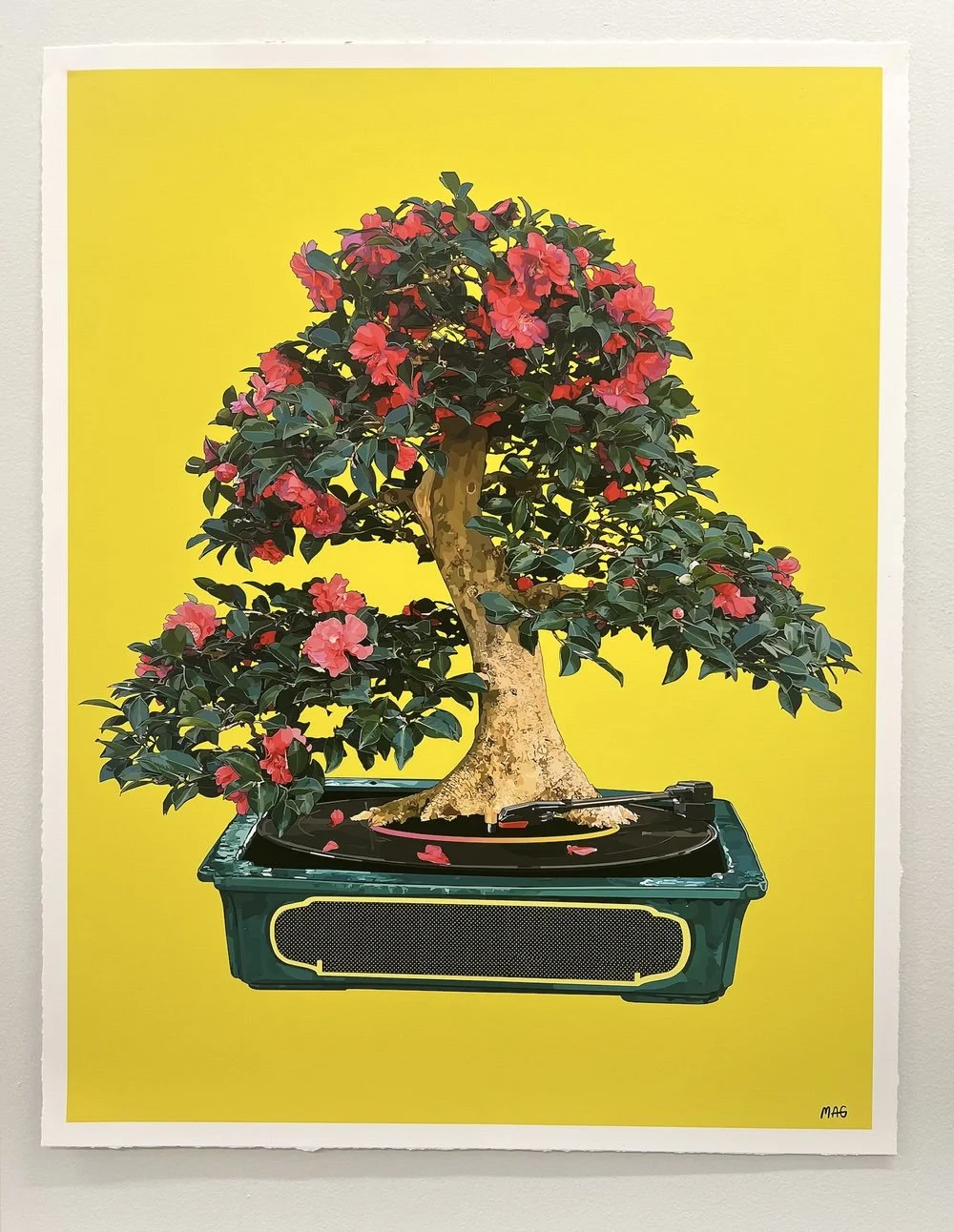 "Record Player Bonsai" | Edition 1 of 3 | 23 x 30 inches | $1,800