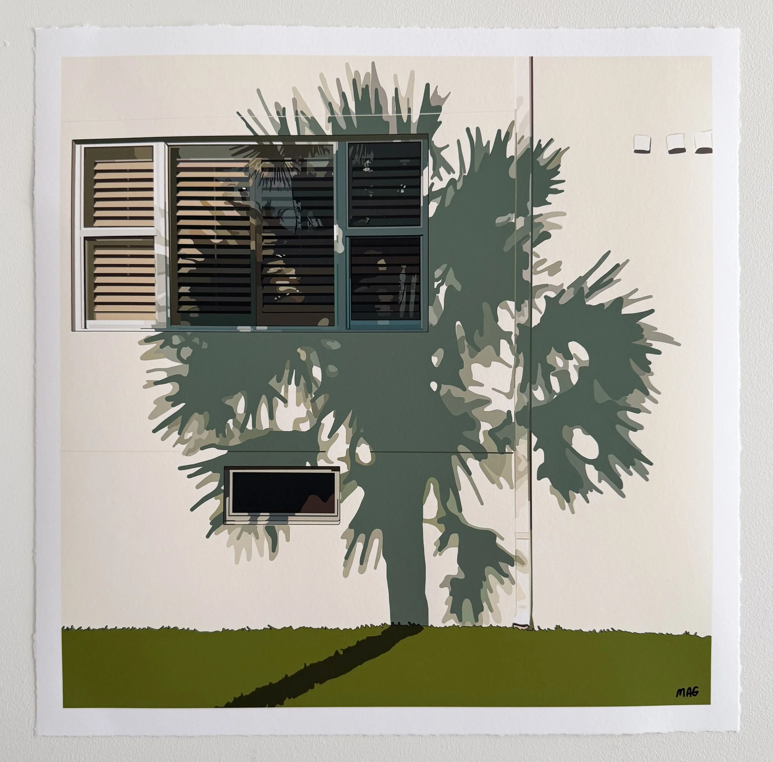 Phantom Palm