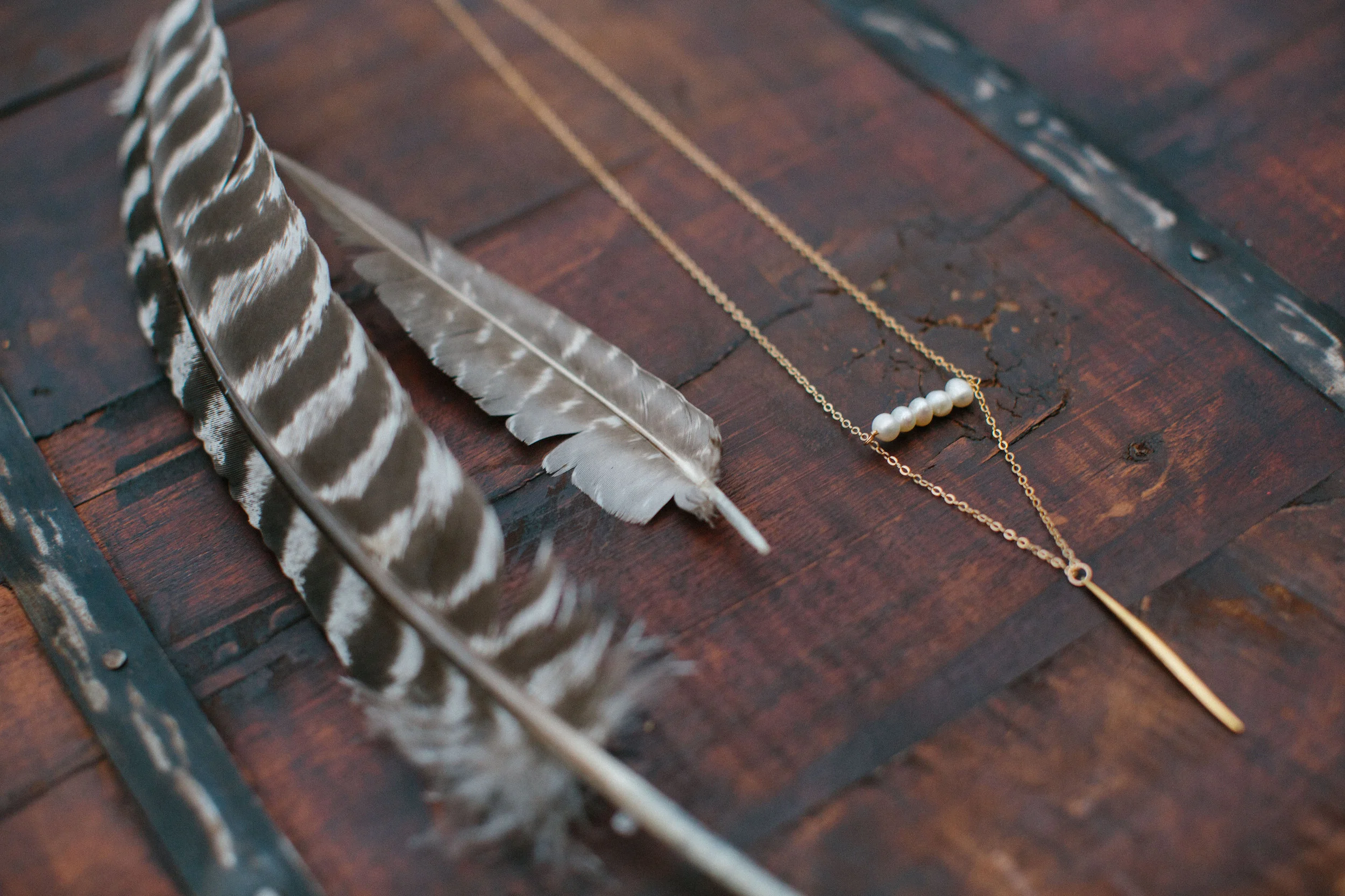 15FeathersWings-55.jpg