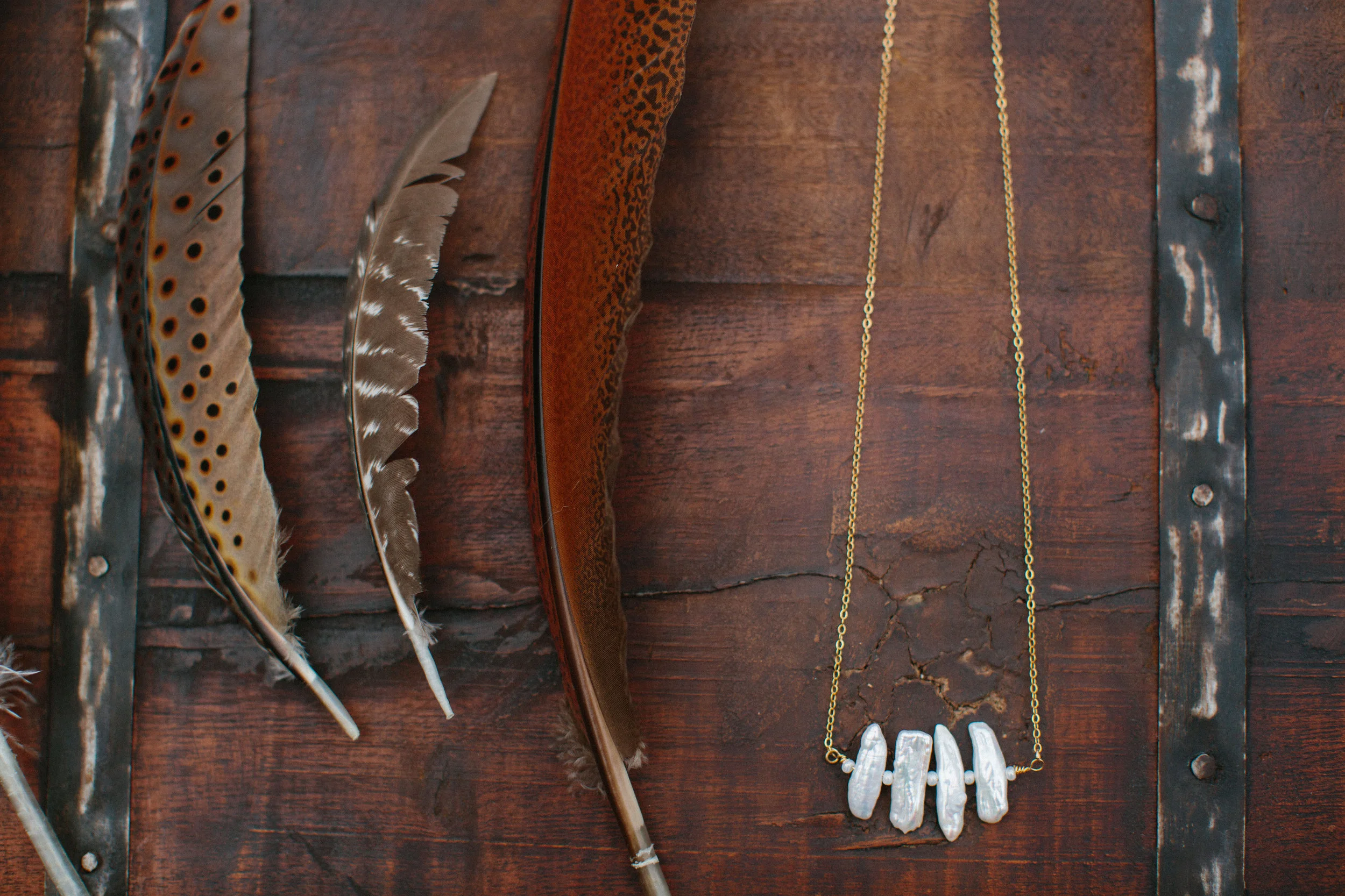 15FeathersWings-7.jpg