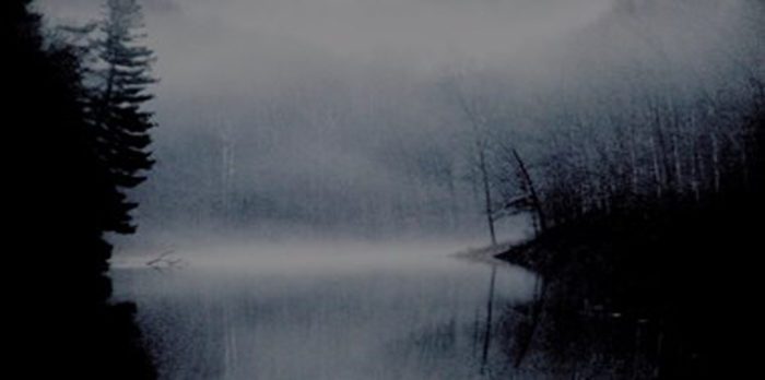 Fog on the Lake