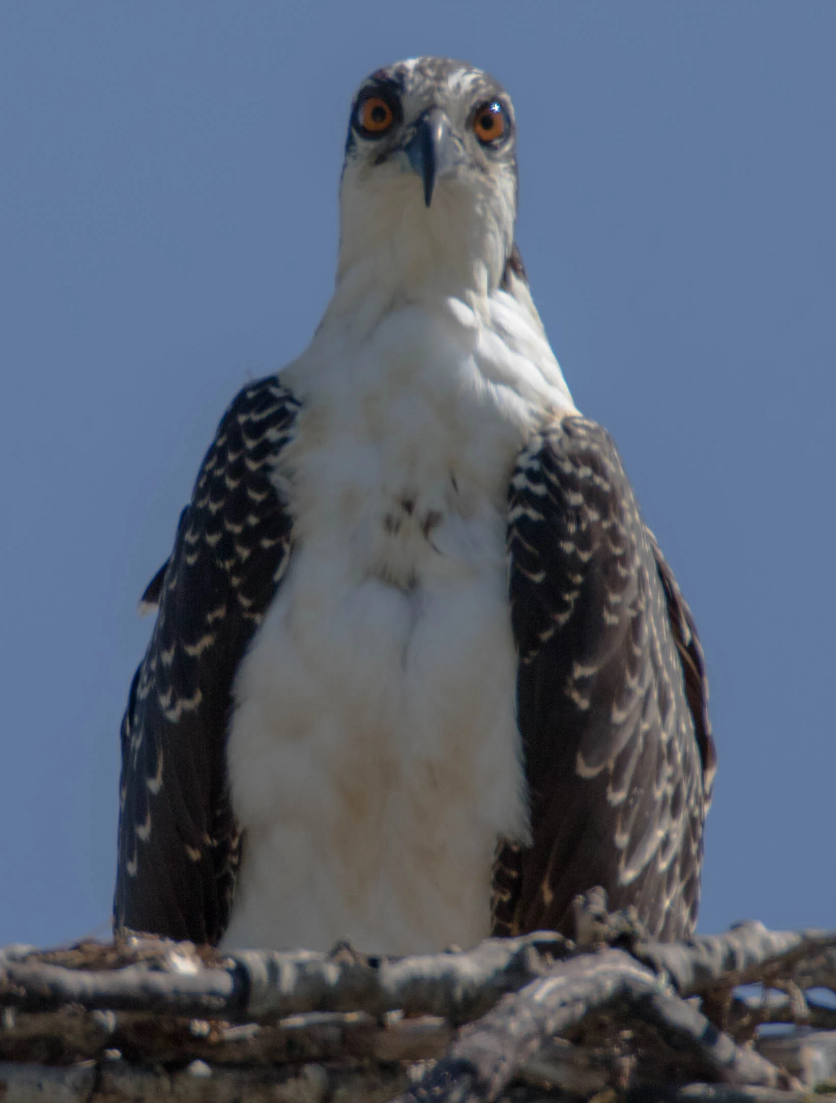 760A6146.jpg