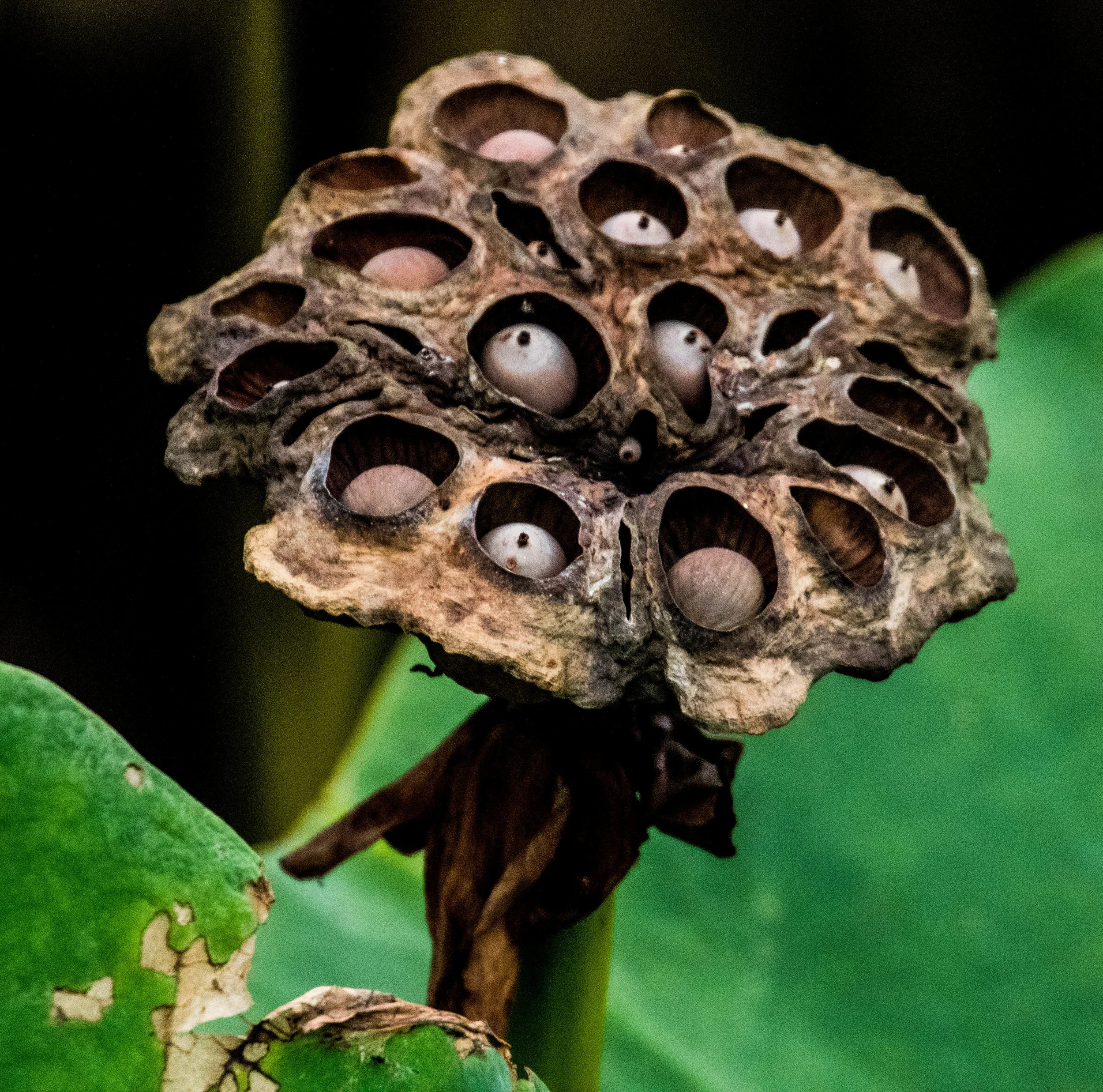 760A0138-2.jpg