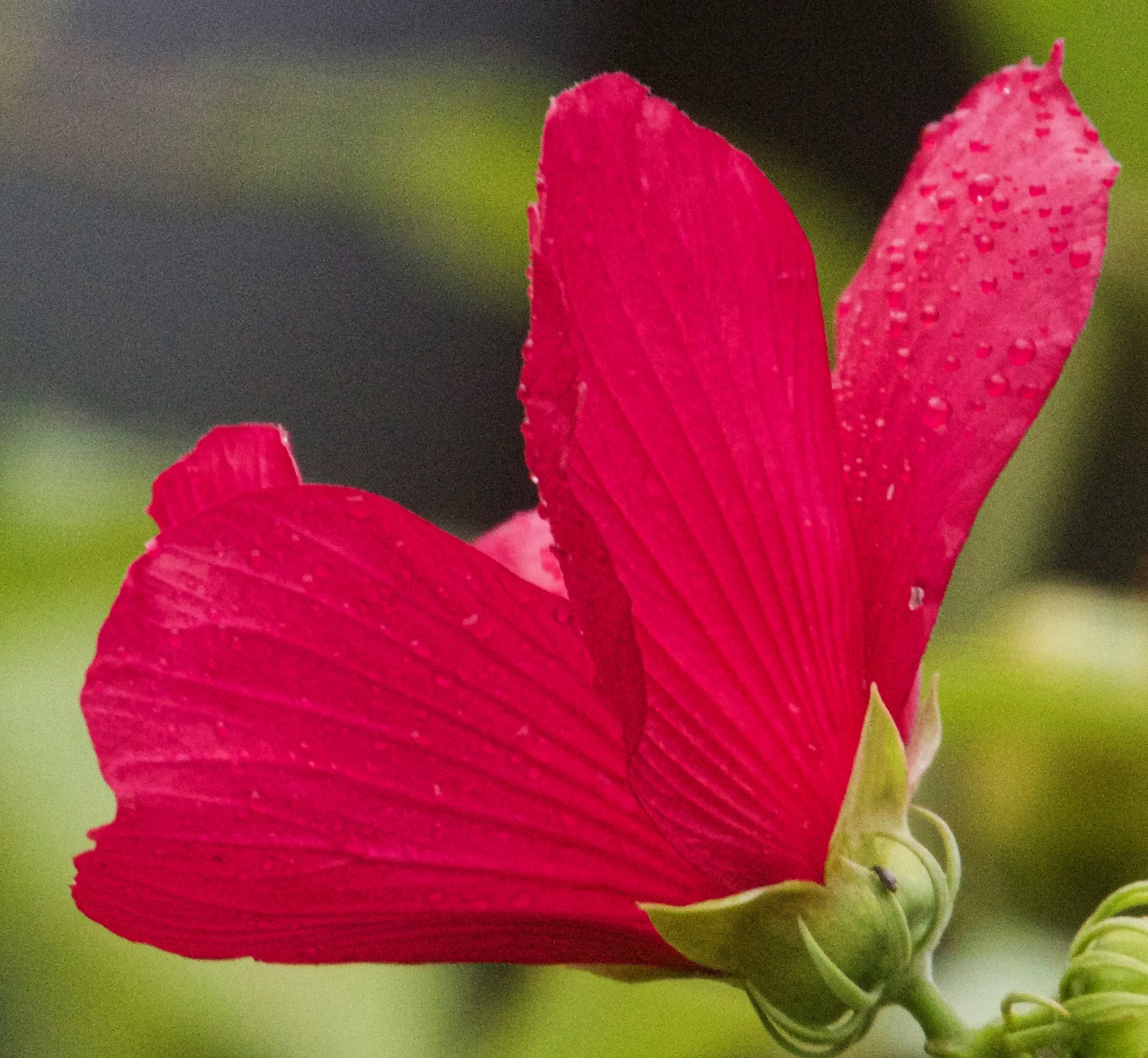 760A1139.jpg