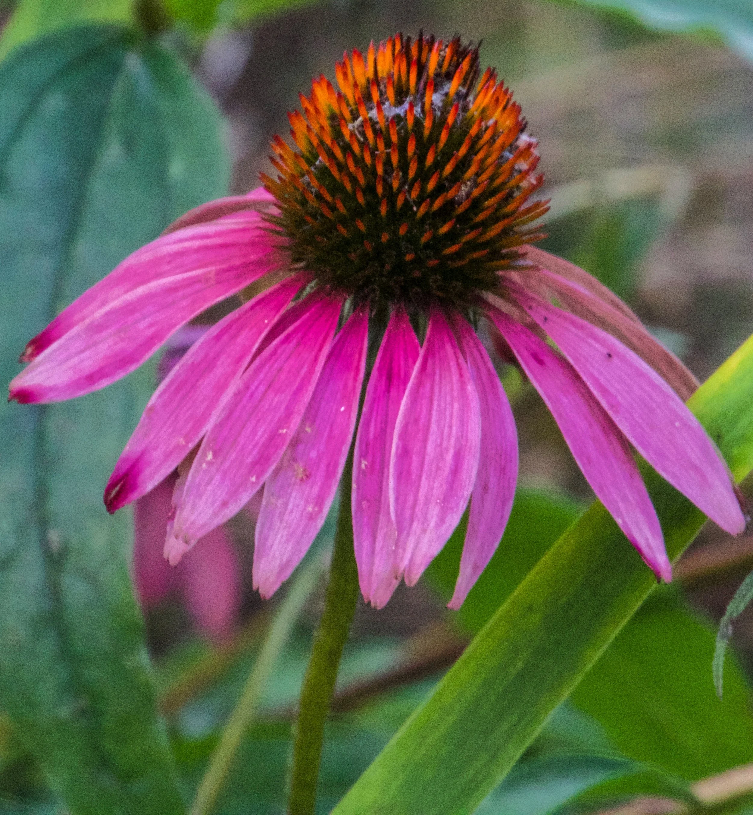 760A2470.jpg