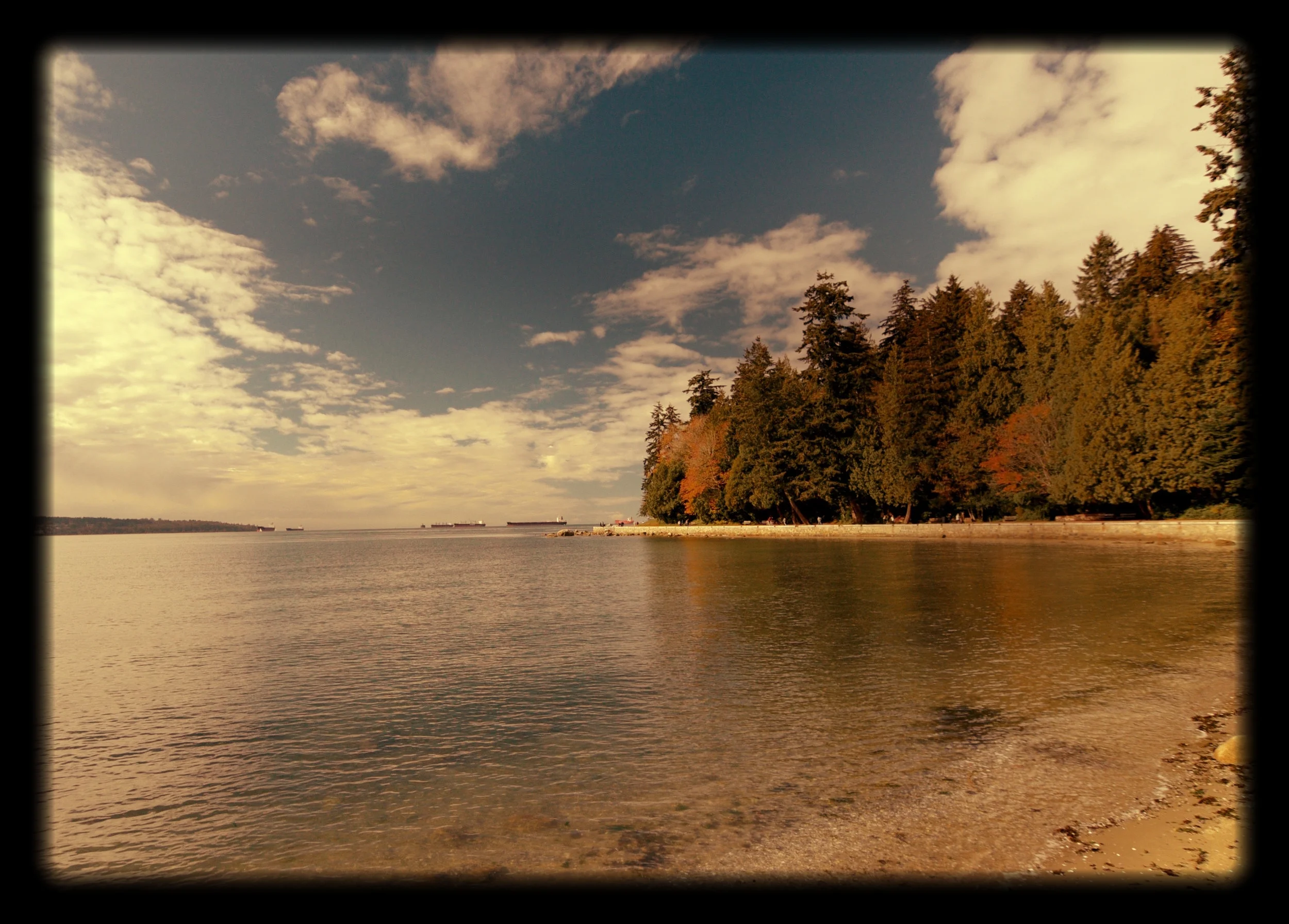 _DSC3643 copy.jpg