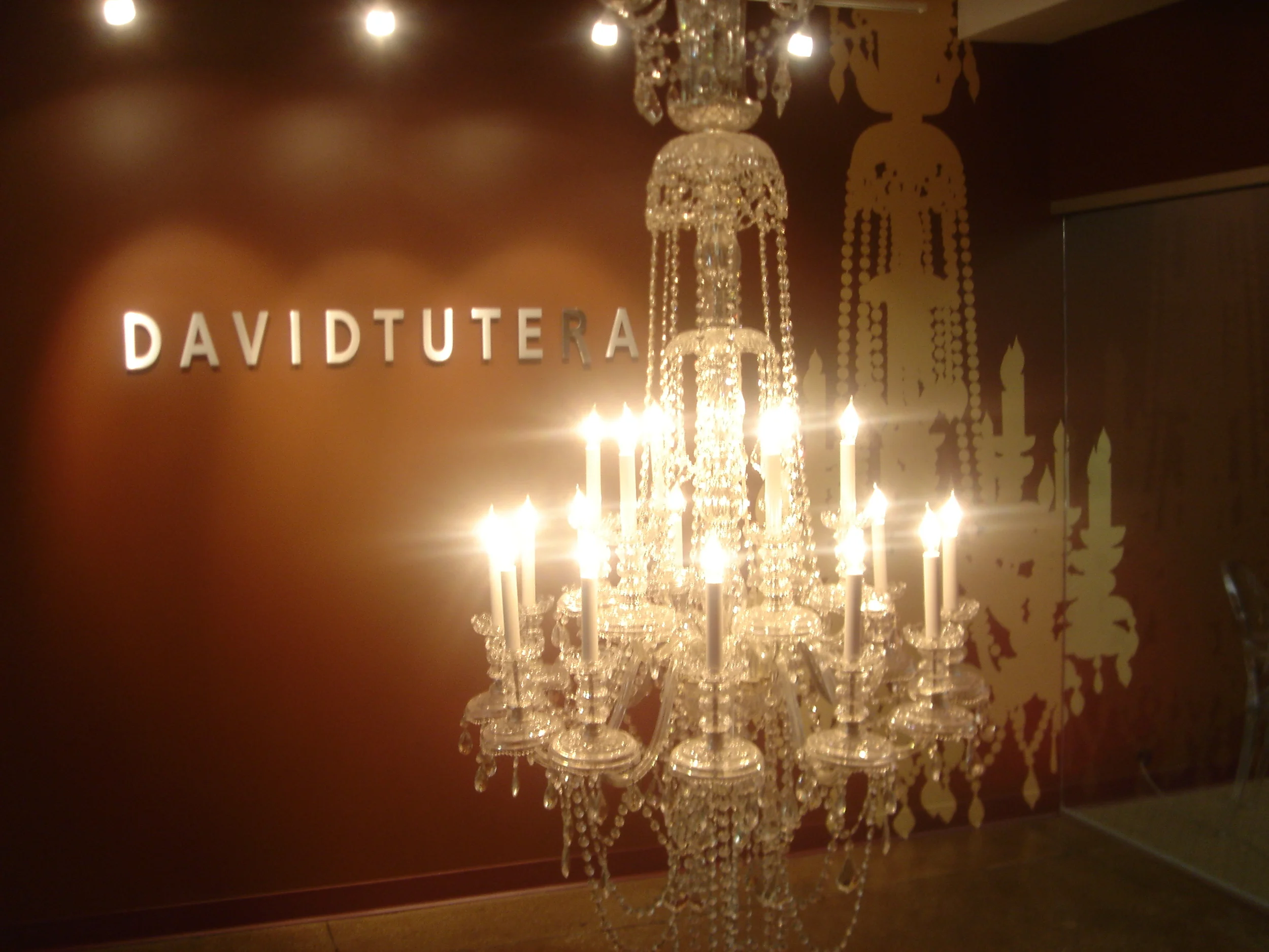 Hand-painted chandelier shadow mural