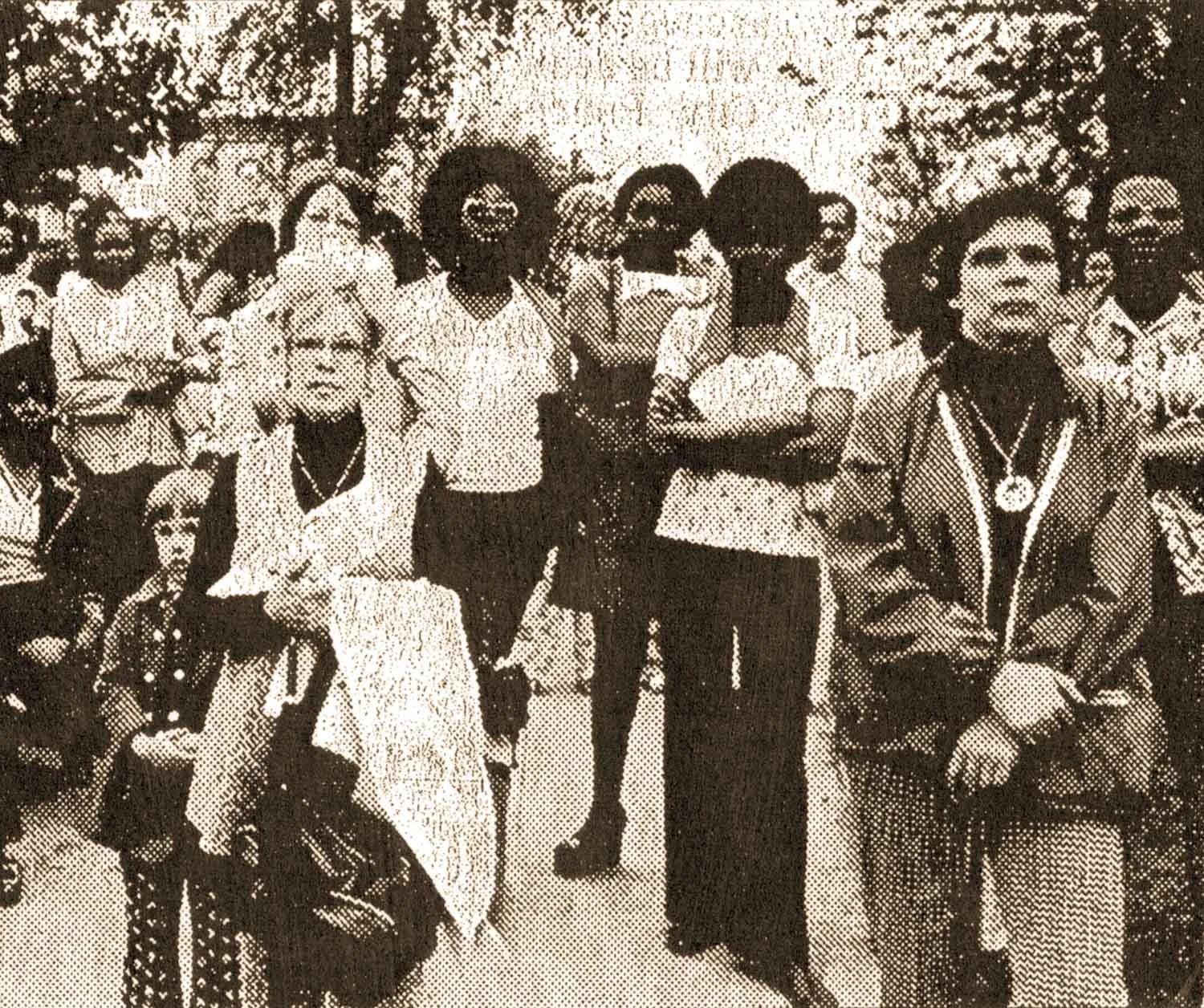 Save Our School rally in Hudson, NY. Source: Hudson Register-Star , May 16, 1975.