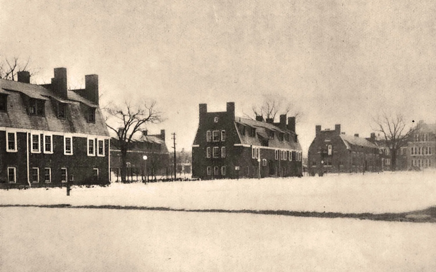 Photograph of the cottages at the Hudson Training School. Cottage 1, where Faye Owens would have lived, is pictured on the far left.