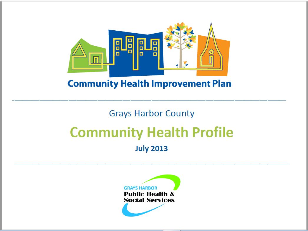Community Health Profile 2013.JPG