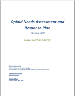 Opioid needs assessment.png