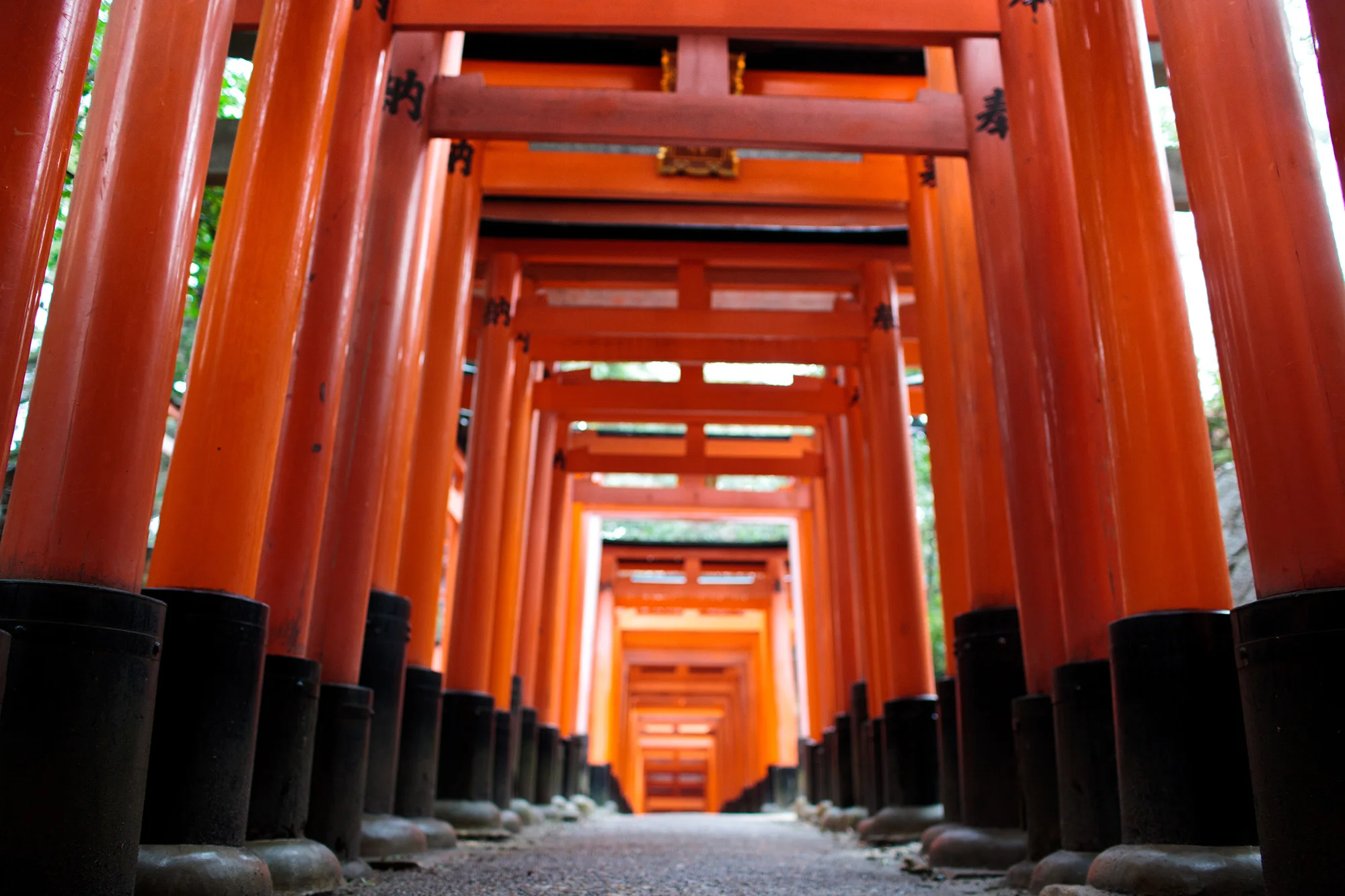 japan_2012 (1278 of 406).jpg
