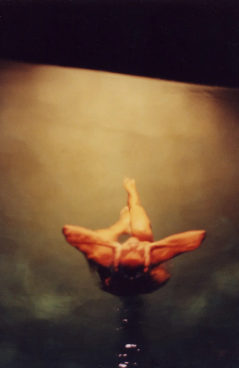 Metamorphosis, Miami USA 1998.