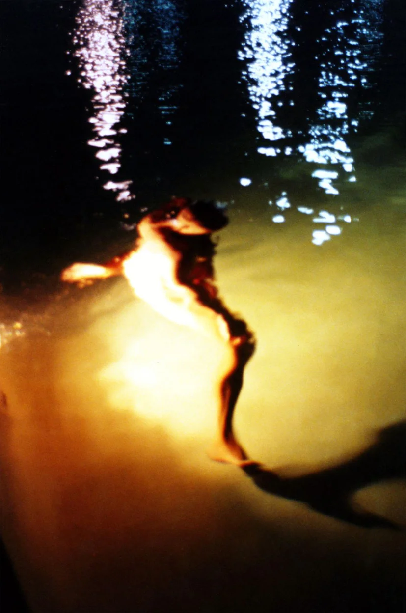 Metamorphosis. Miami. 1998