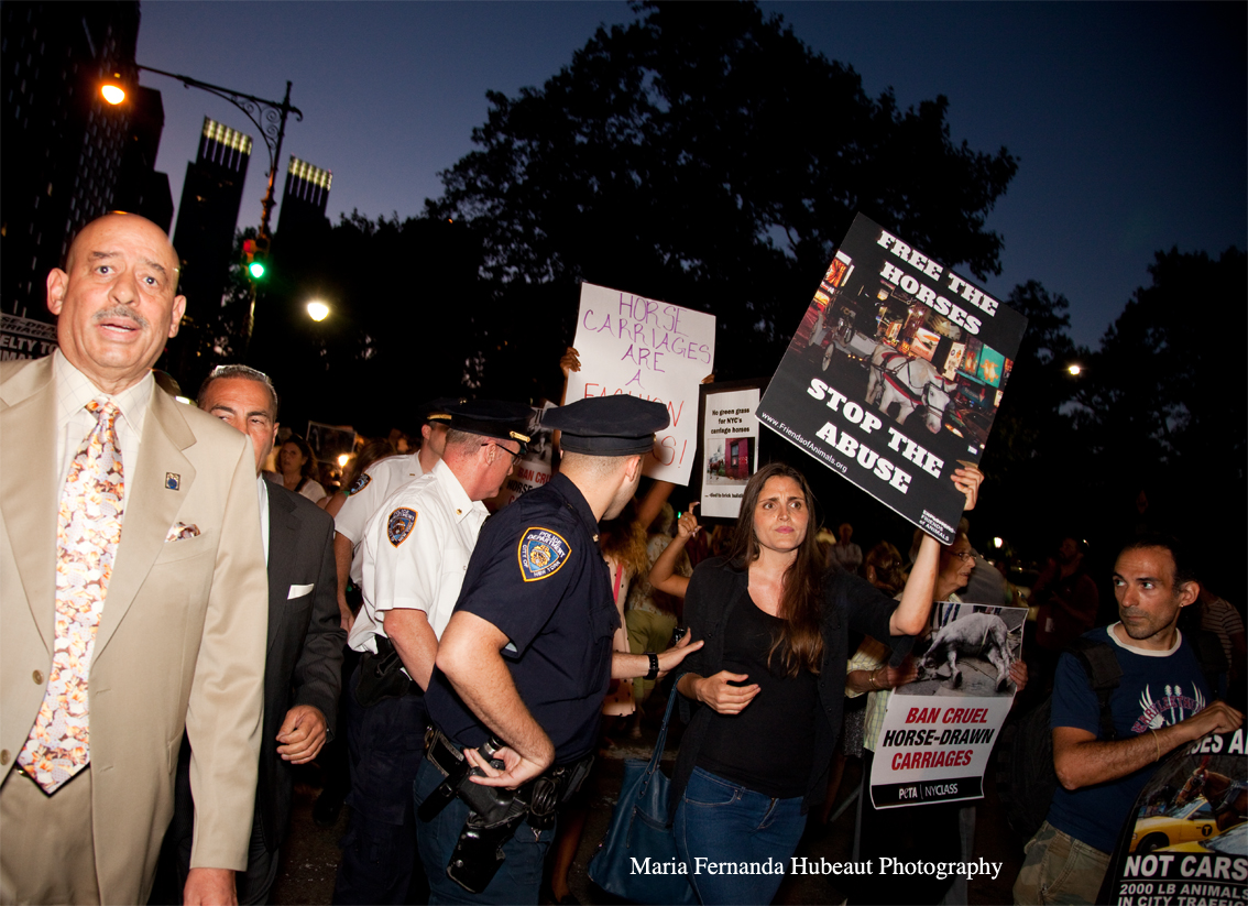 Fashion week Protest. Protect the Horses.