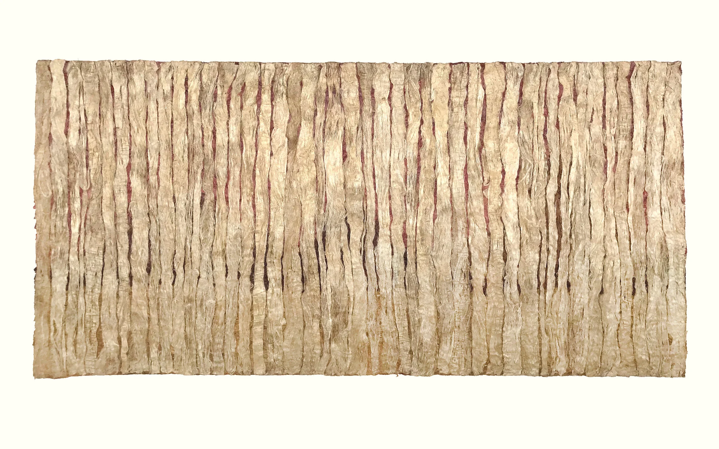 sin_muro-back.jpg