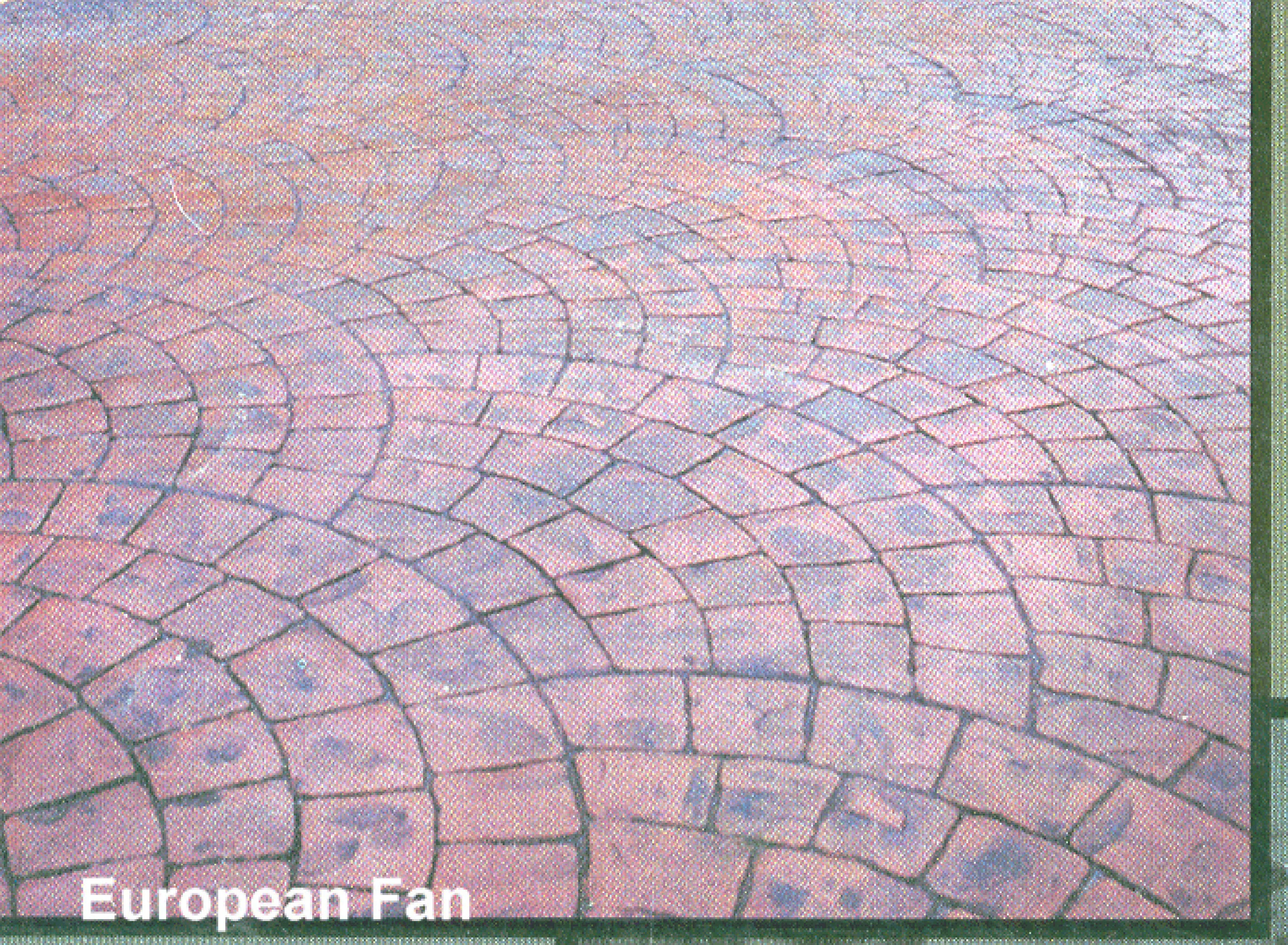 Pattern-011.jpg