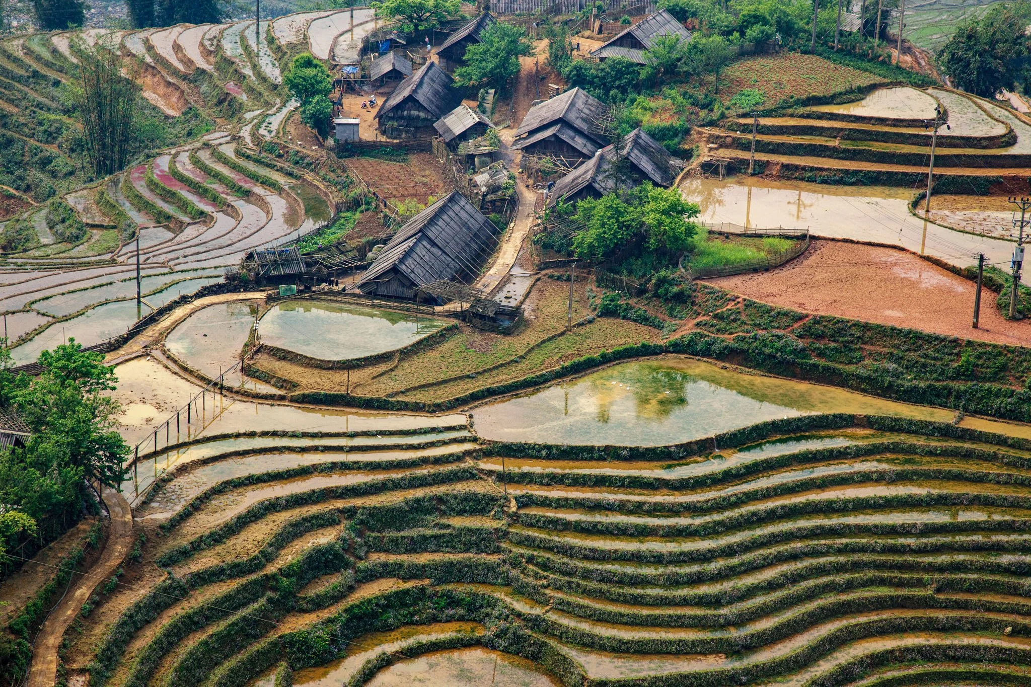 Ferme Mông