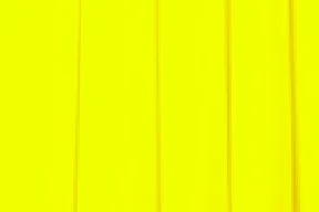 Canary.jpg