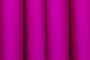 Fuchsia.jpg