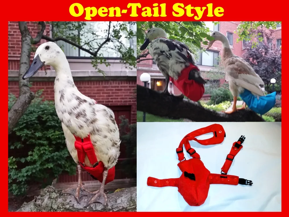 zzopentaillisting.jpg