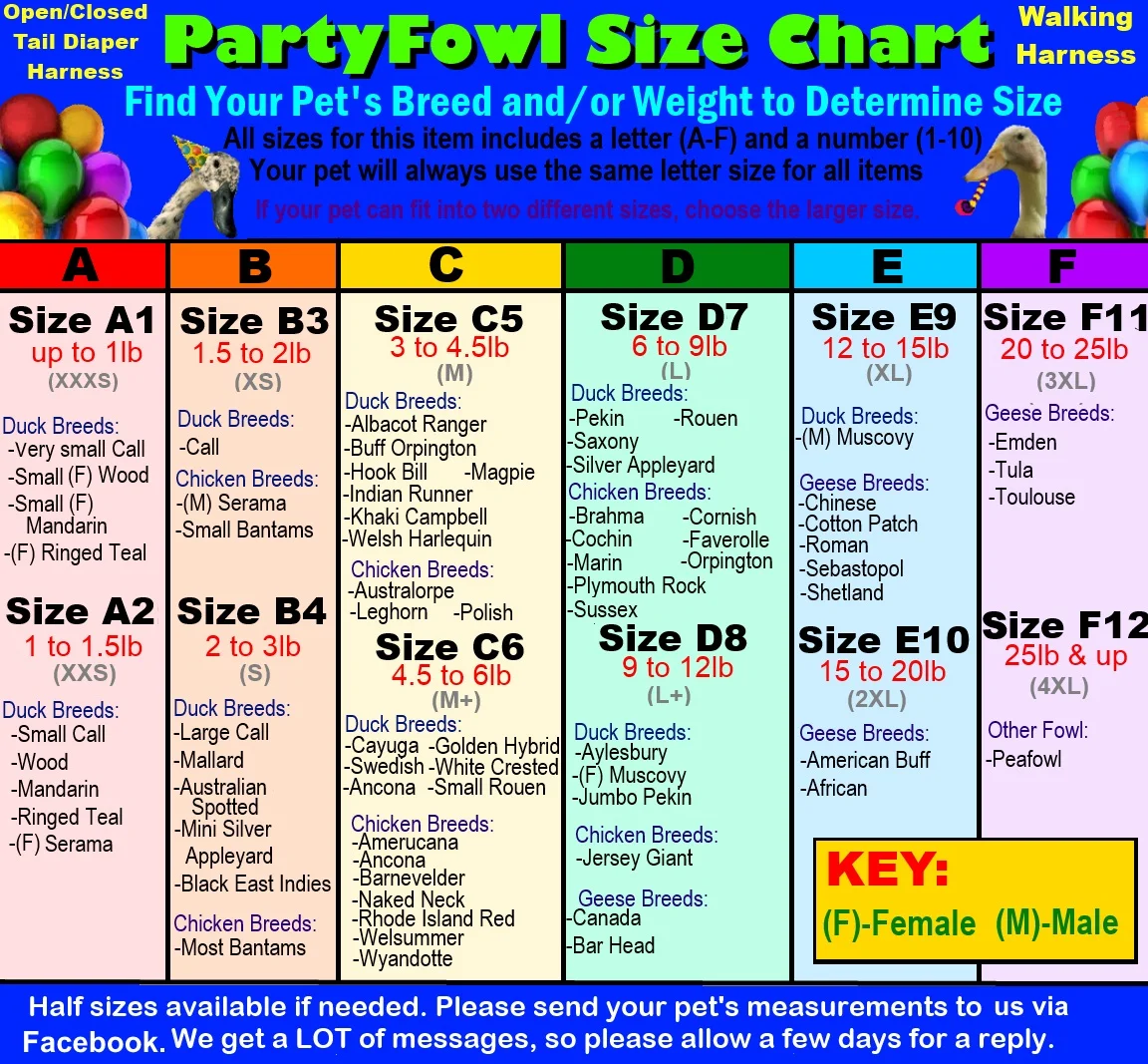 zzchart012017.jpg