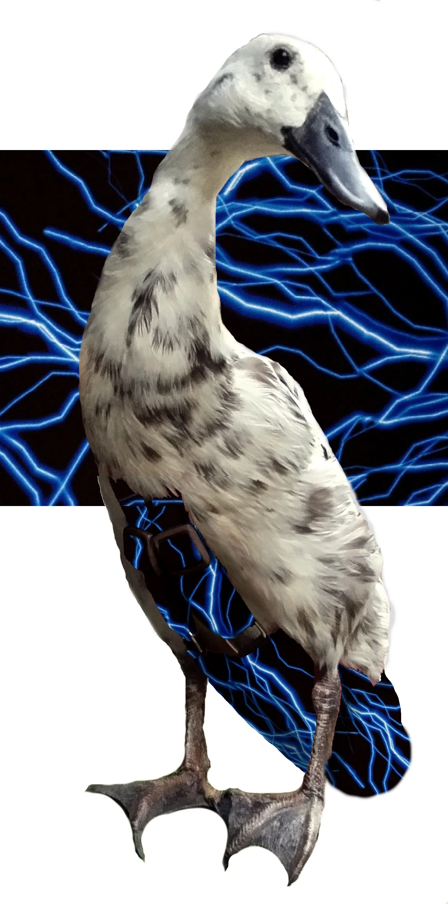 BlueLightningpattern.jpg