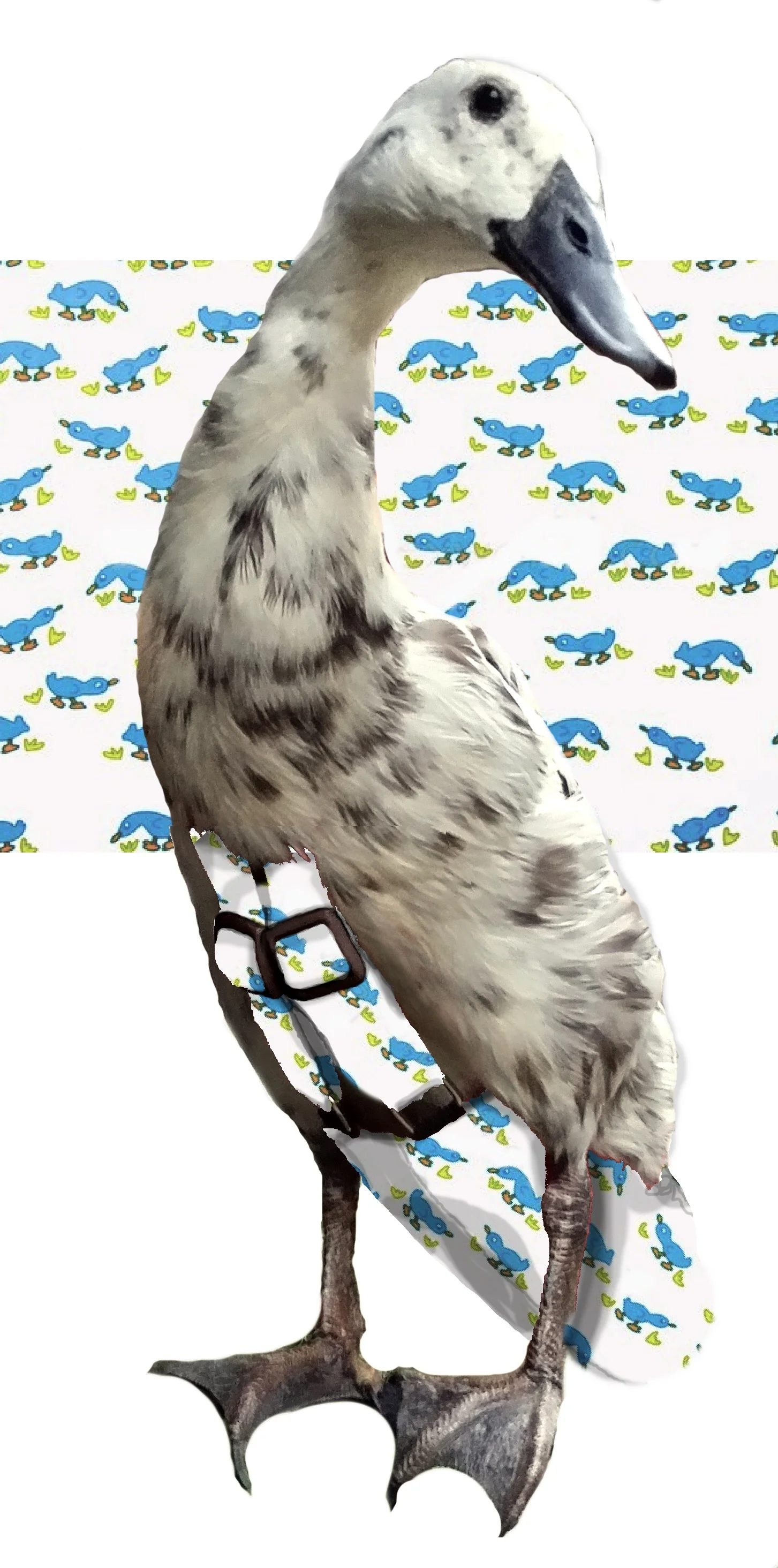 BlueDuckiespattern.jpg