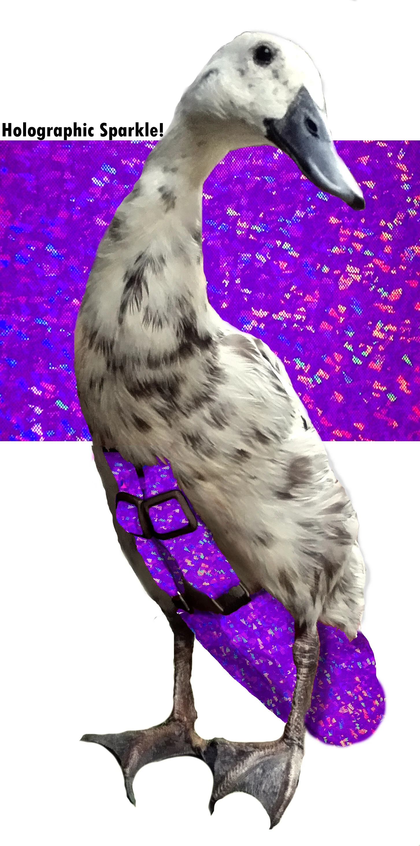 alexandrite violet.jpg
