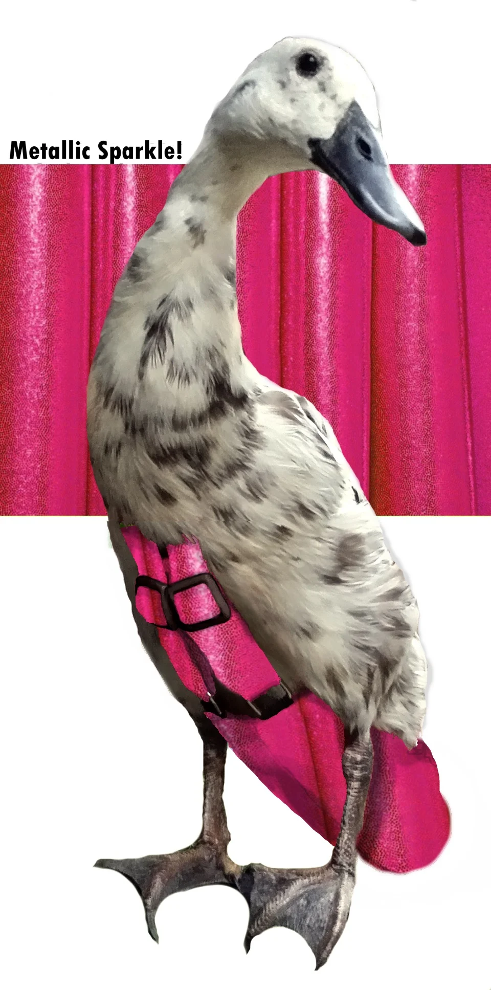 Cerise Spinel.jpg