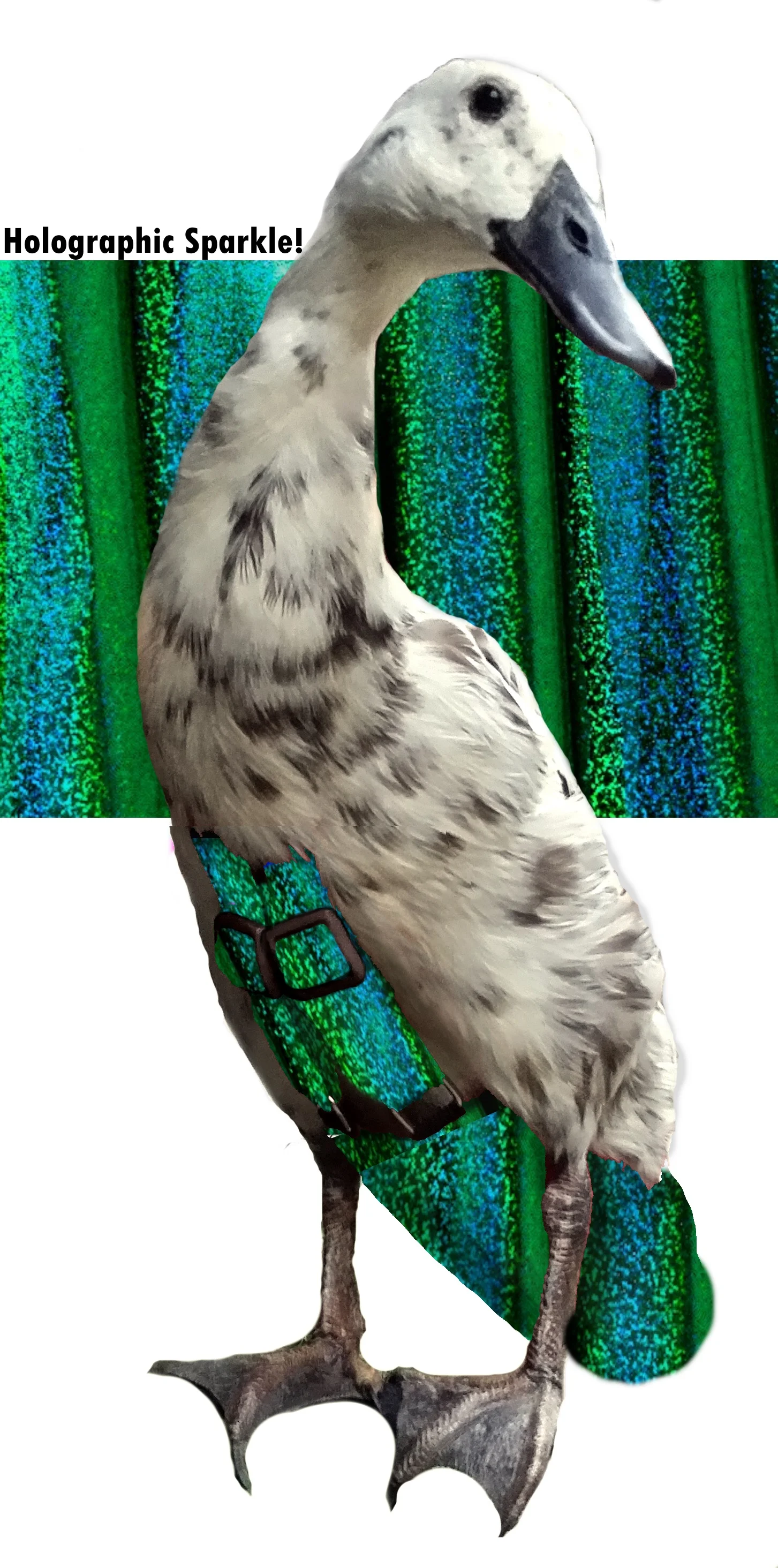 Green Malachite.jpg