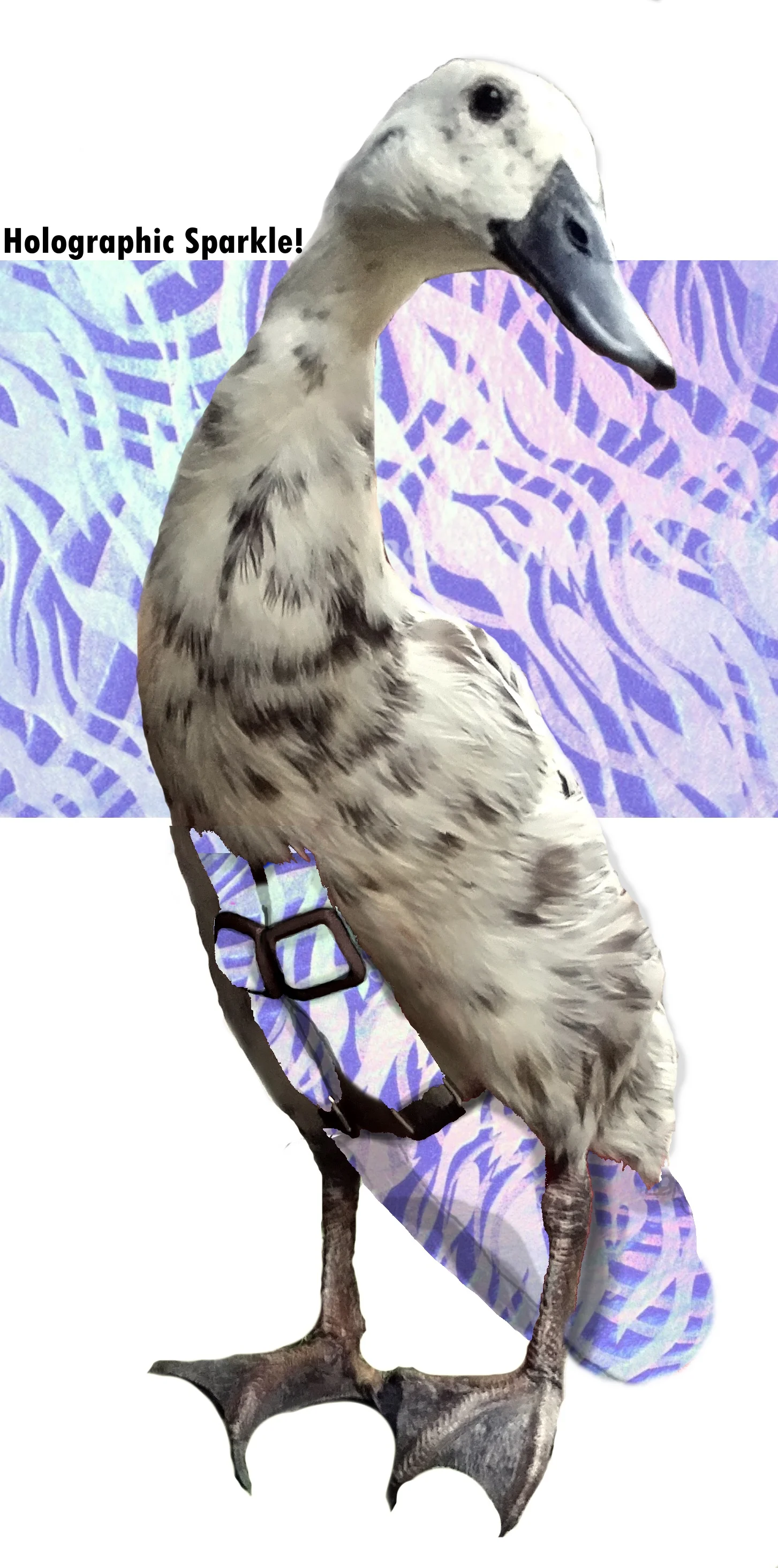 Blue Holo Swirl.jpg