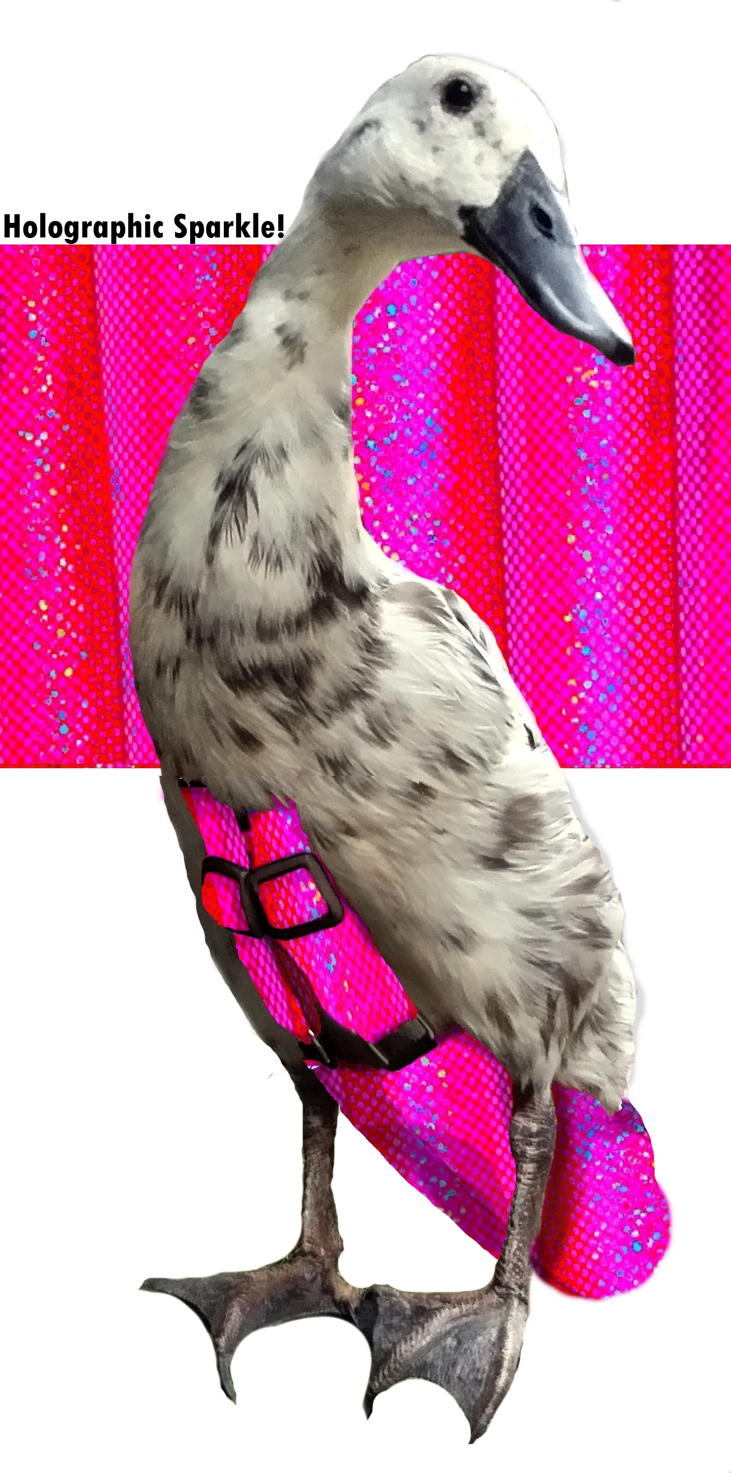 Pink Kunzite.jpg