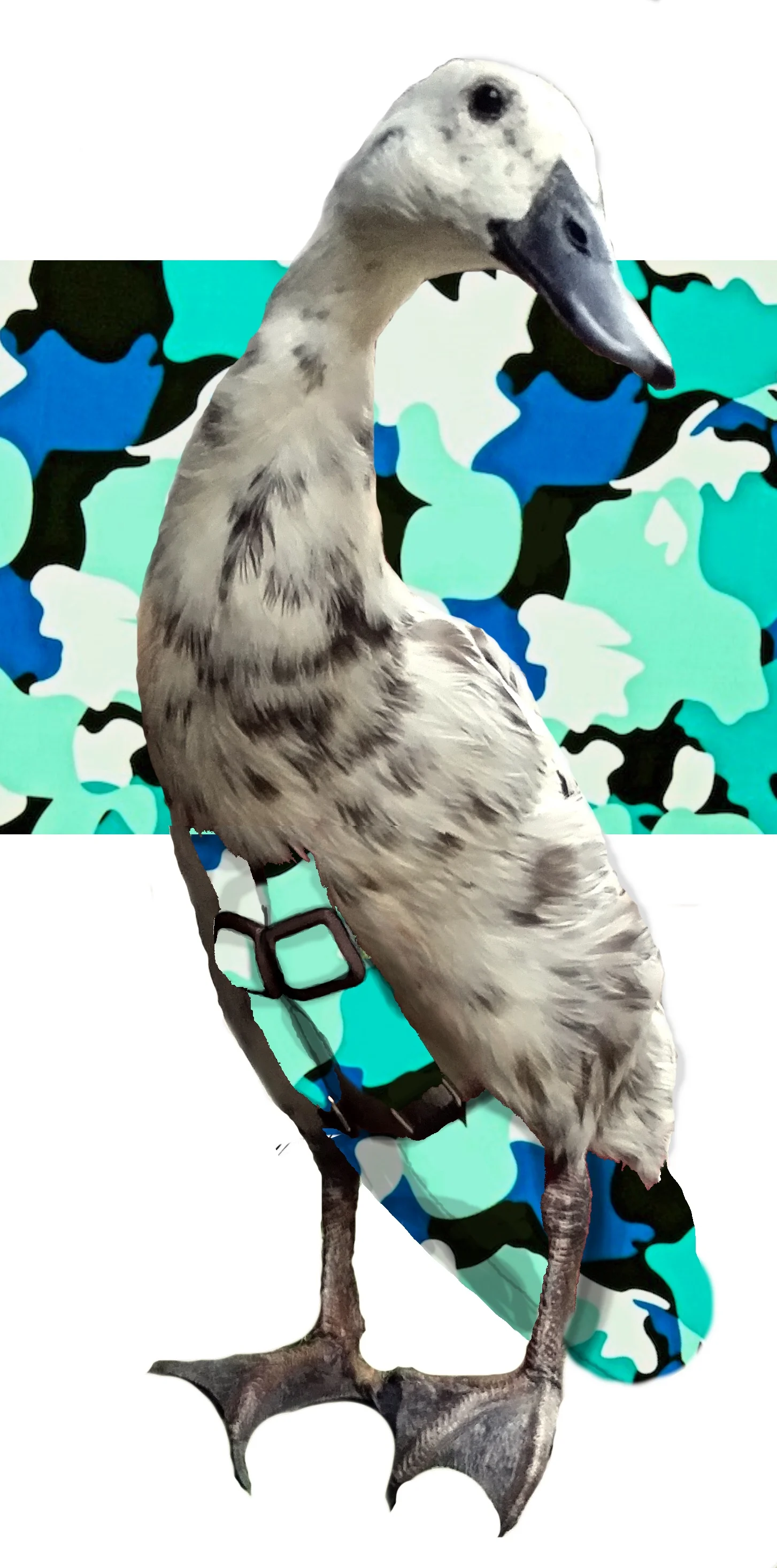 aqua blue camo.jpg