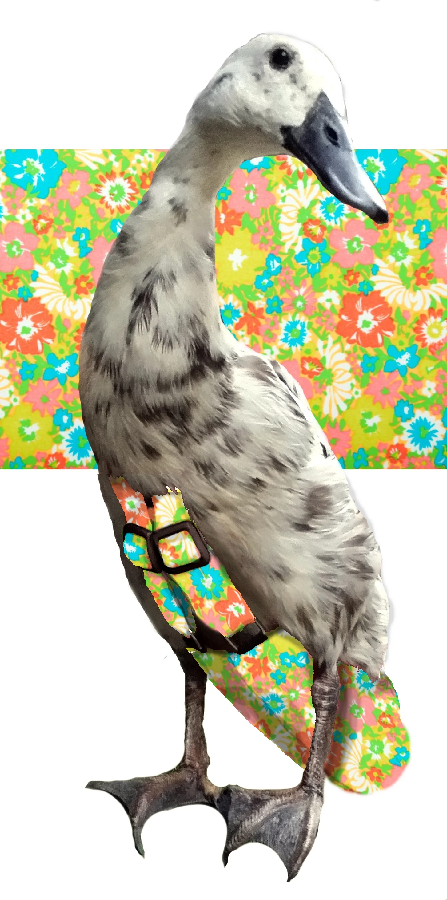 Flower power.jpg