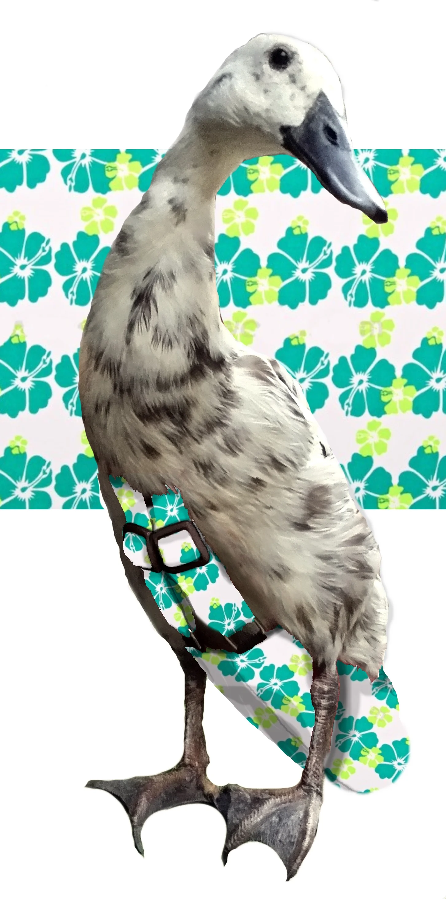 HibiscusHulapattern.jpg
