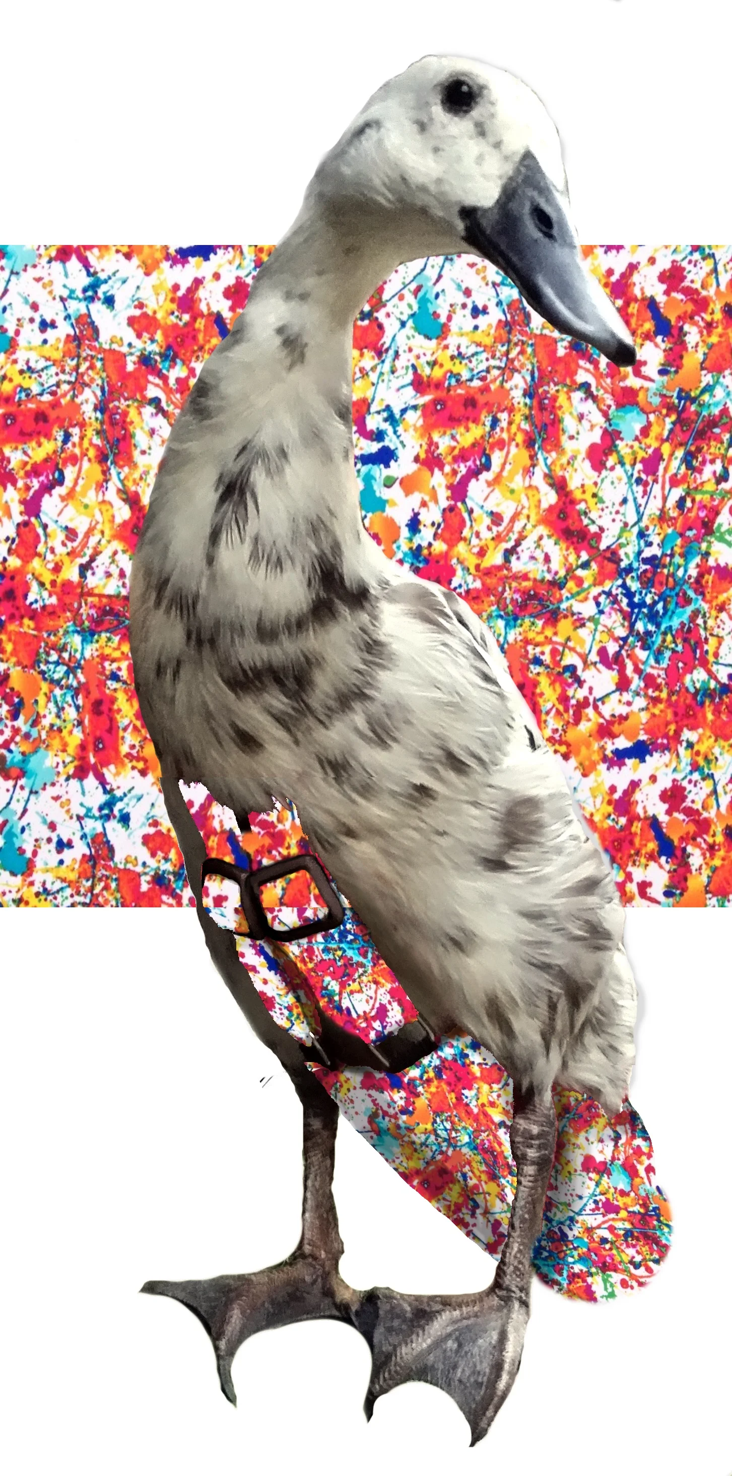 PaintDrpspattern.jpg