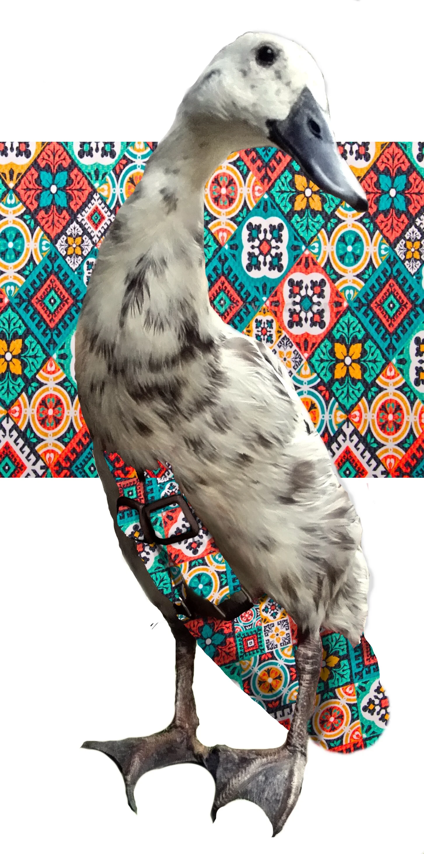 Quiltpattern.jpg