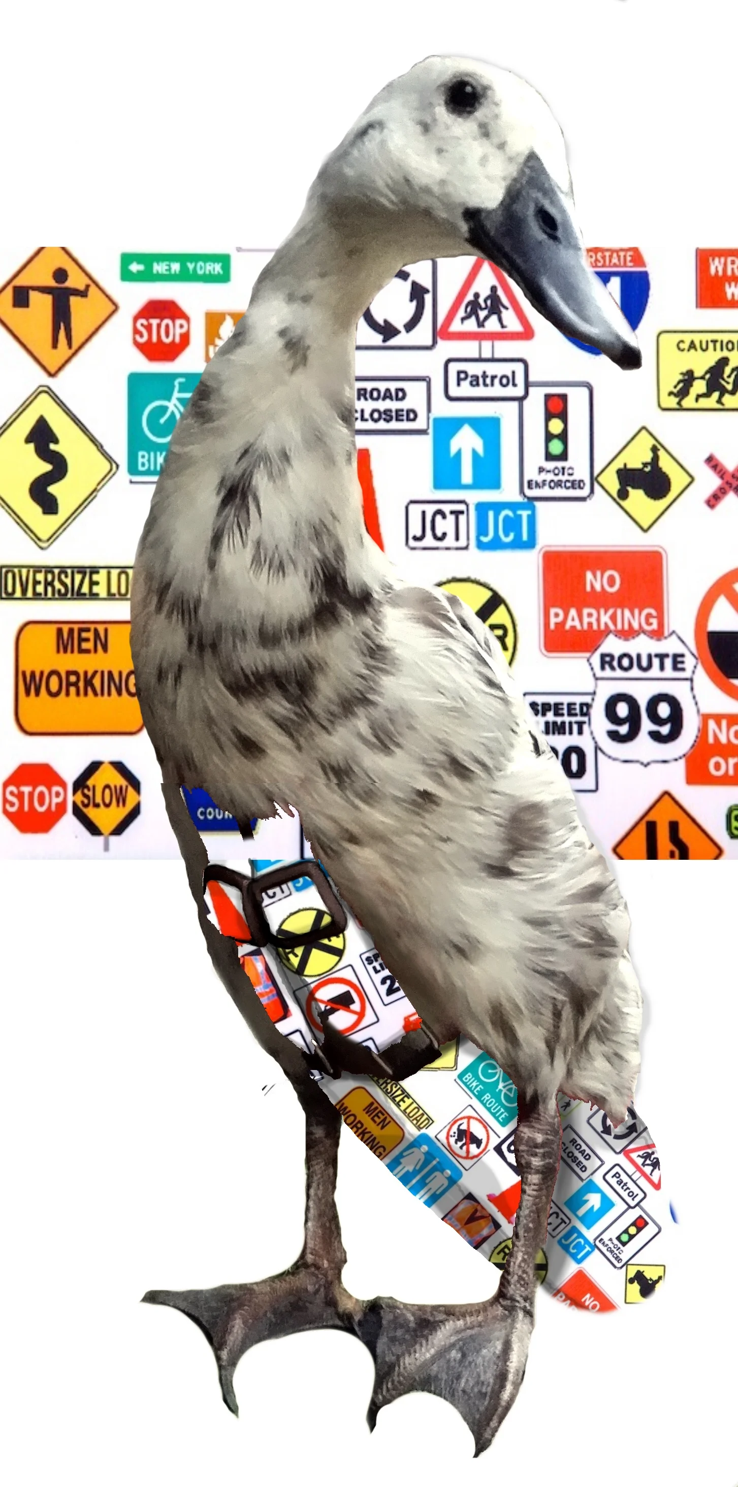 RoadSignspattern.jpg