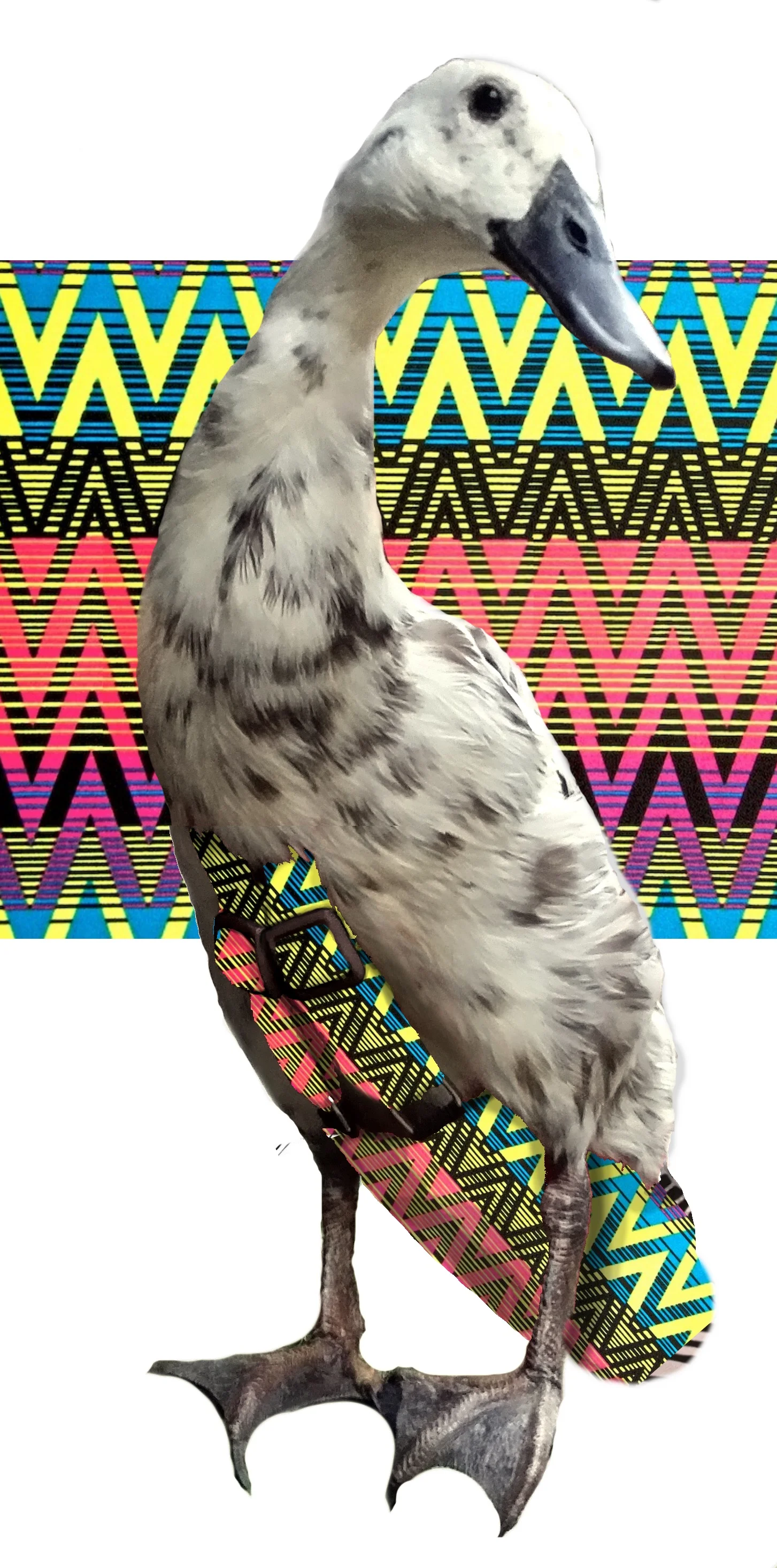 SoundWavepattern.jpg
