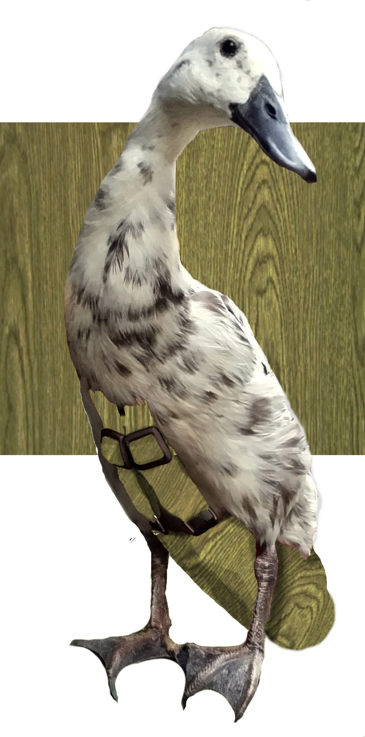 Woodpattern.jpg