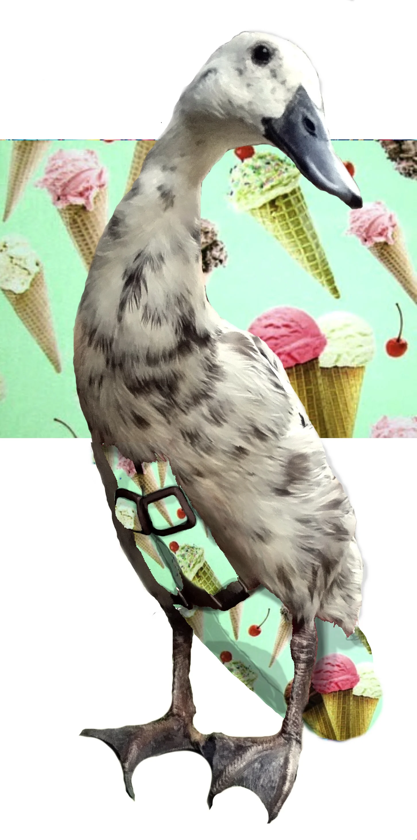 icecream.jpg