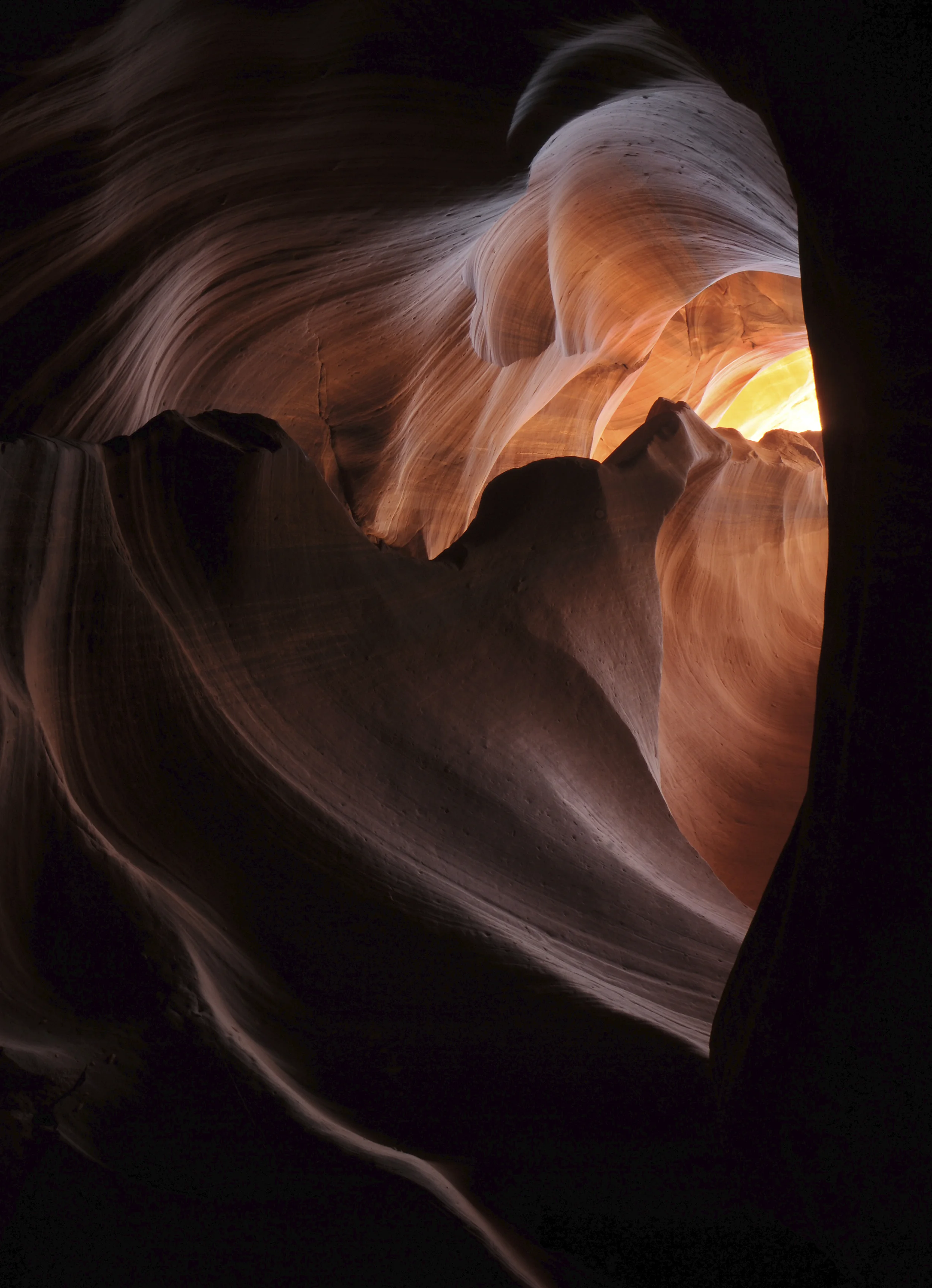 iStock_000045963922_Large.jpg