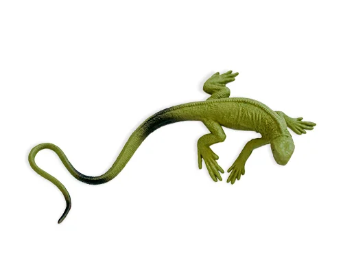 lizard.jpg