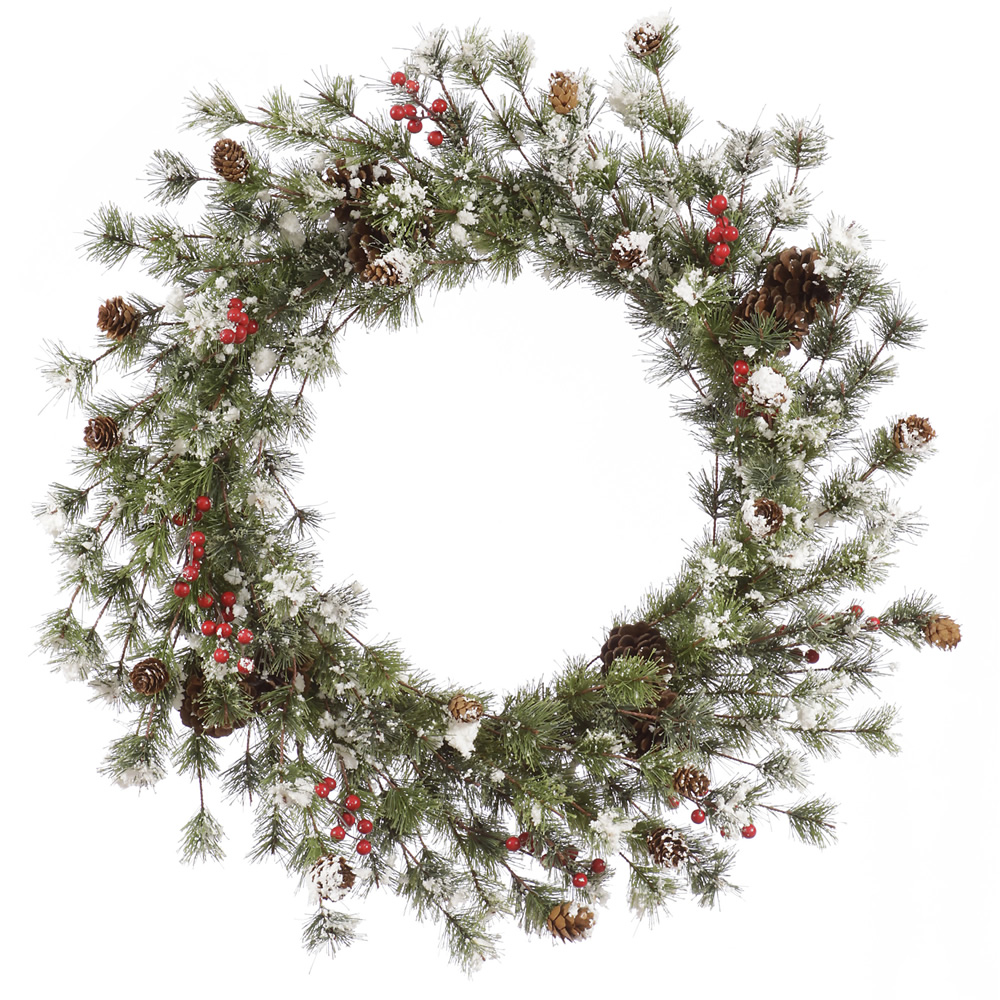 Snowy Monterey Pine w/ Berries
