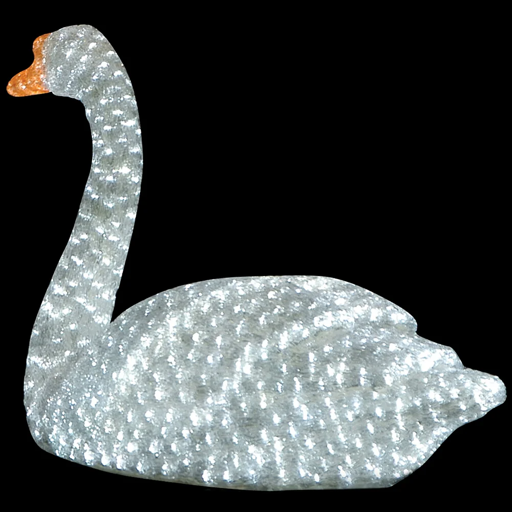 Female Swan X127871_1000.jpg